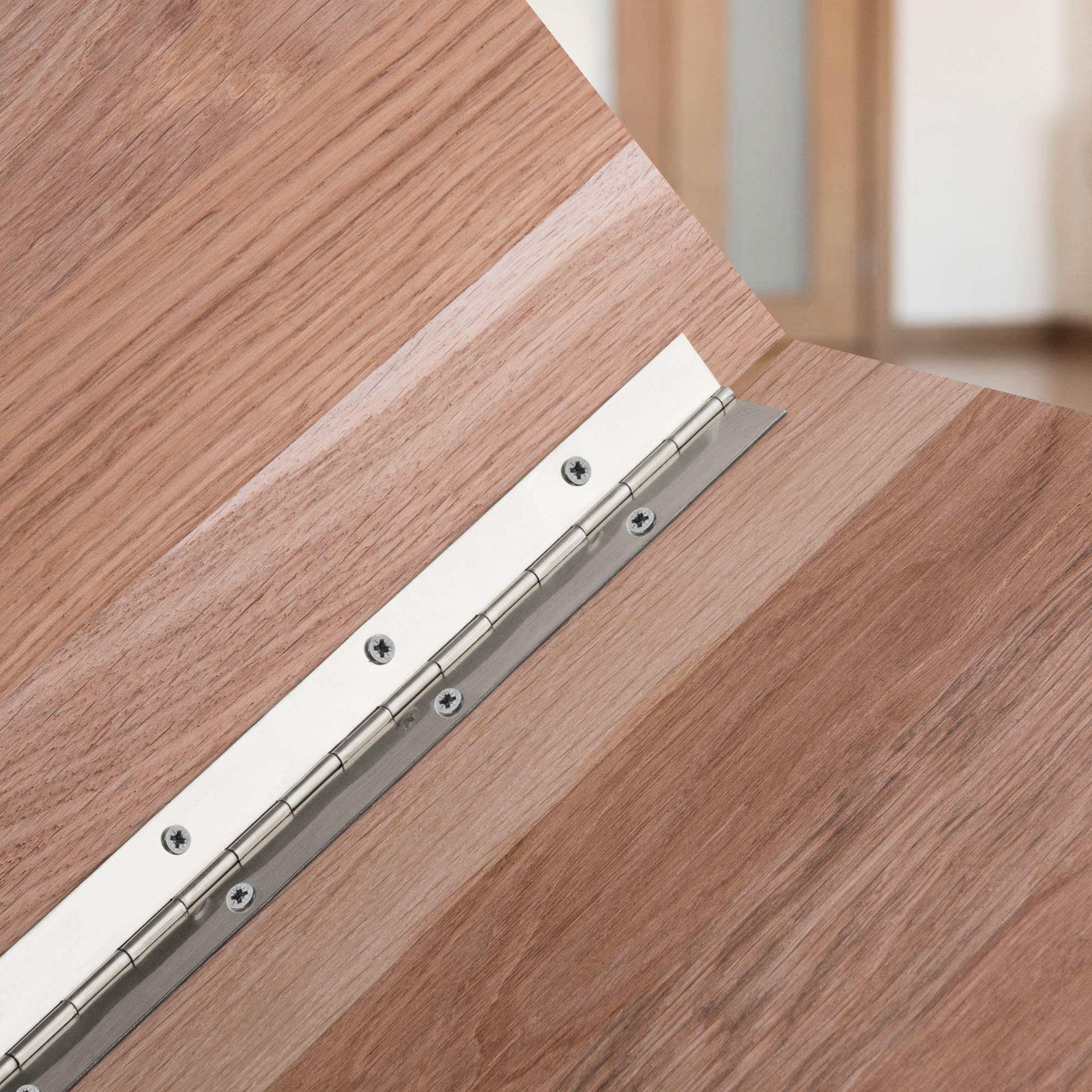 Gedotec Stabilo Charnière de Piano à Visser - Porte Roulée en Acier Inoxydable V2A - Bande de Fixation 900 x 32 mm - Meuble Percé - 1 Pièce