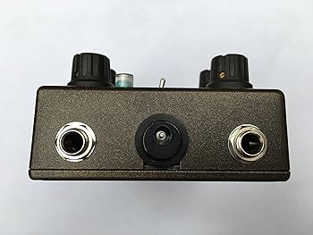 Amazon.com: Caroline Guitar Company Météore Lo-Fi Reverb Guitar