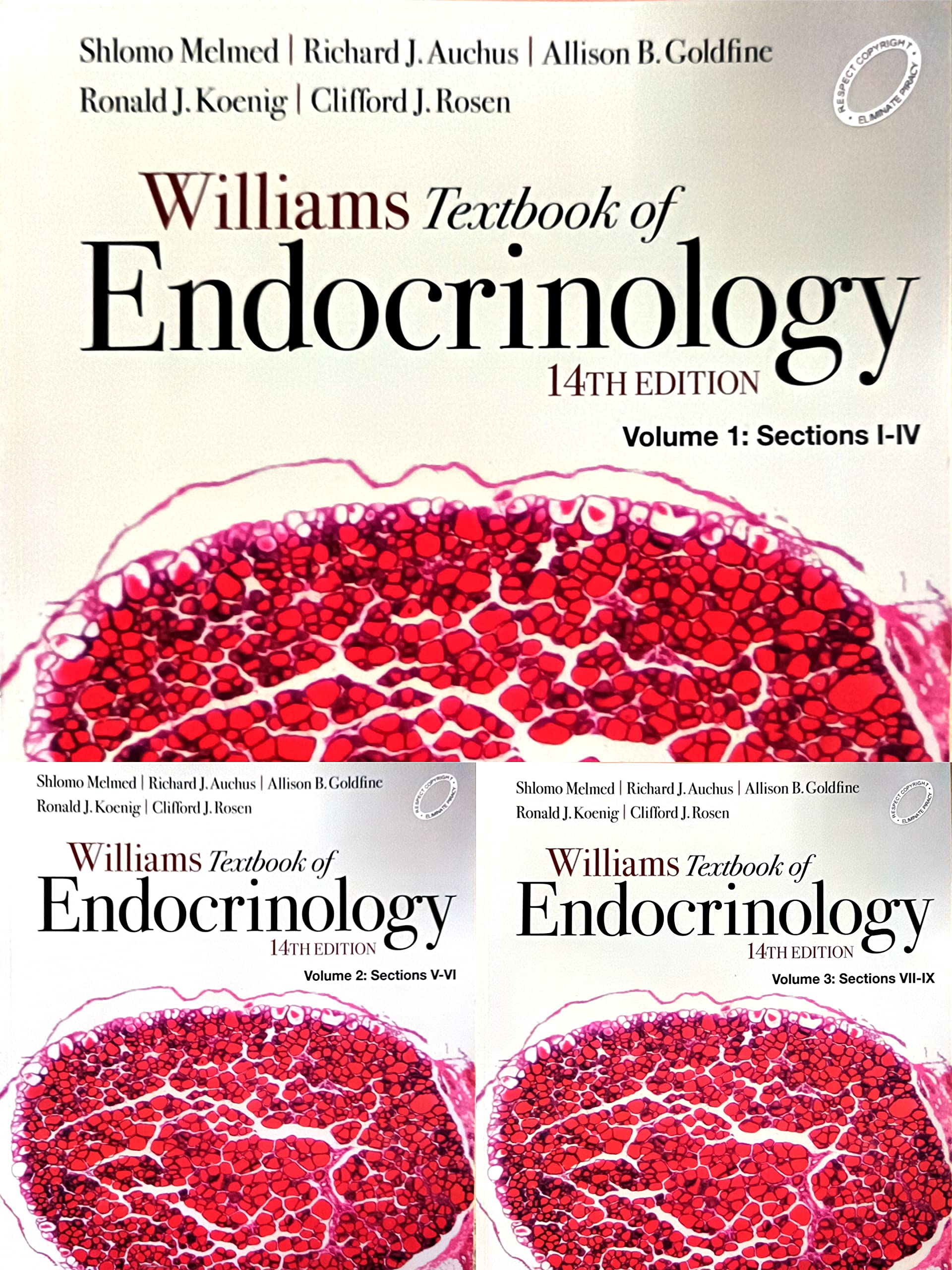 Williams Textbook of Endocrinology 3 Volumes Set - 14th Edition ( PaperBack )