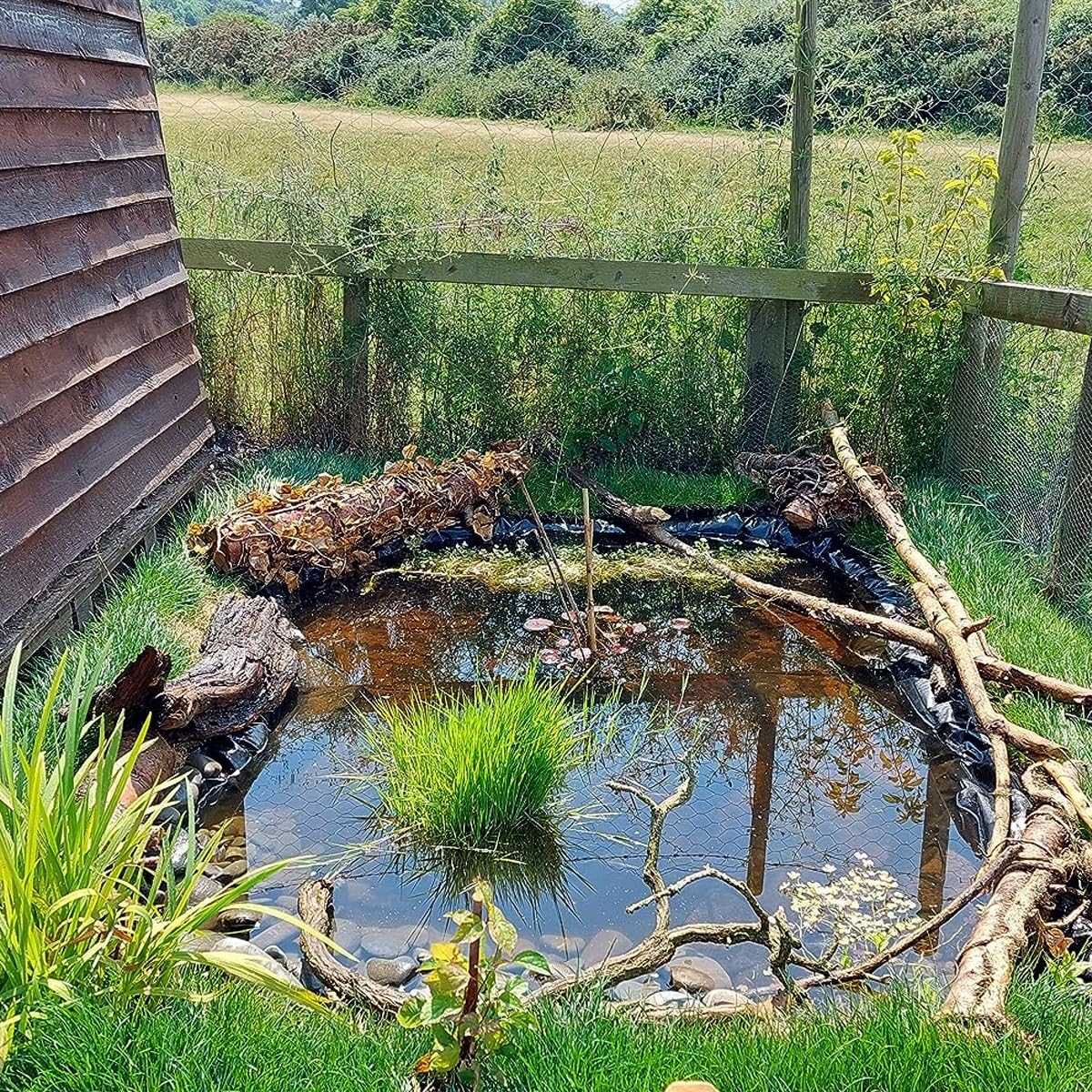 Rivestimento flessibile per laghetti, 3 x 6 m, per stagni e rive dei fiumi, facile da tagliare per piante, perfetto per giochi d'acqua all'aperto e paesaggistica