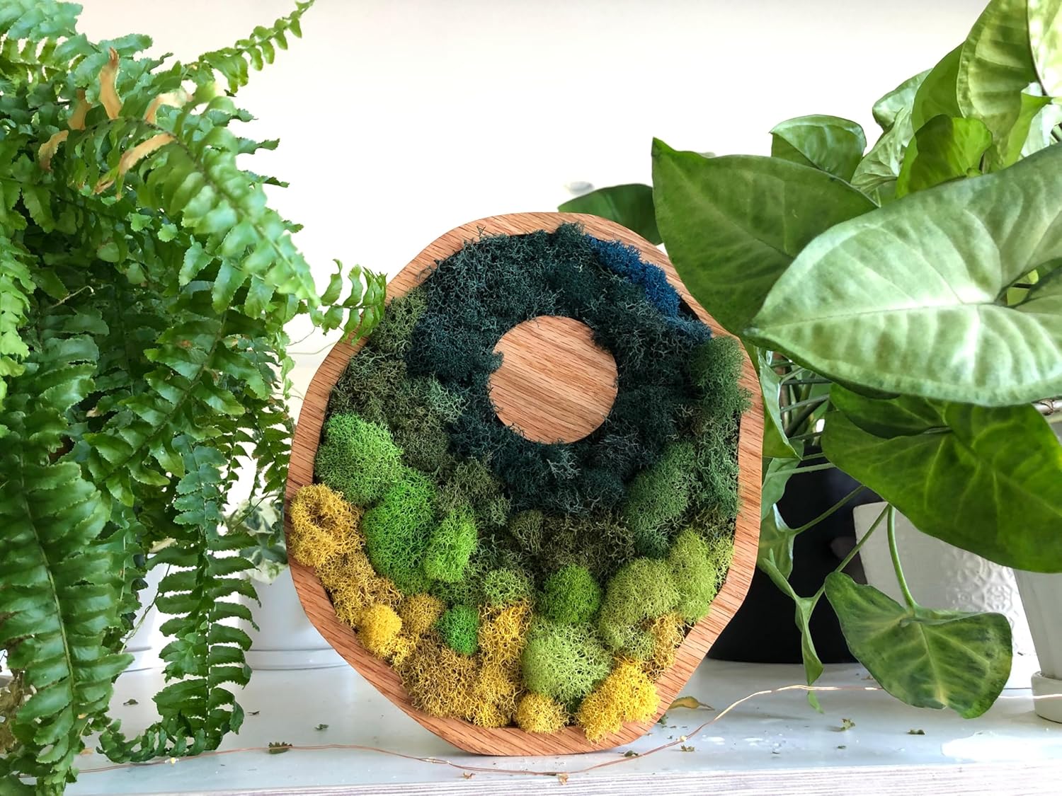 Cell Organelle Wooden Wall Art Bundle - 7pcs with Real Moss, Handmade Natural Wood Décor for Educational and Home Display