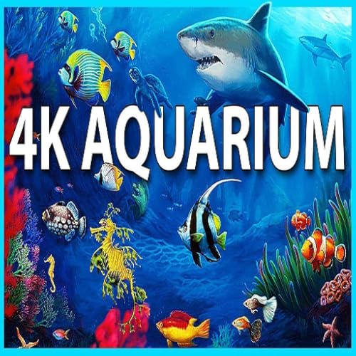Aquário 4K VIDEO (ULTRA HD)