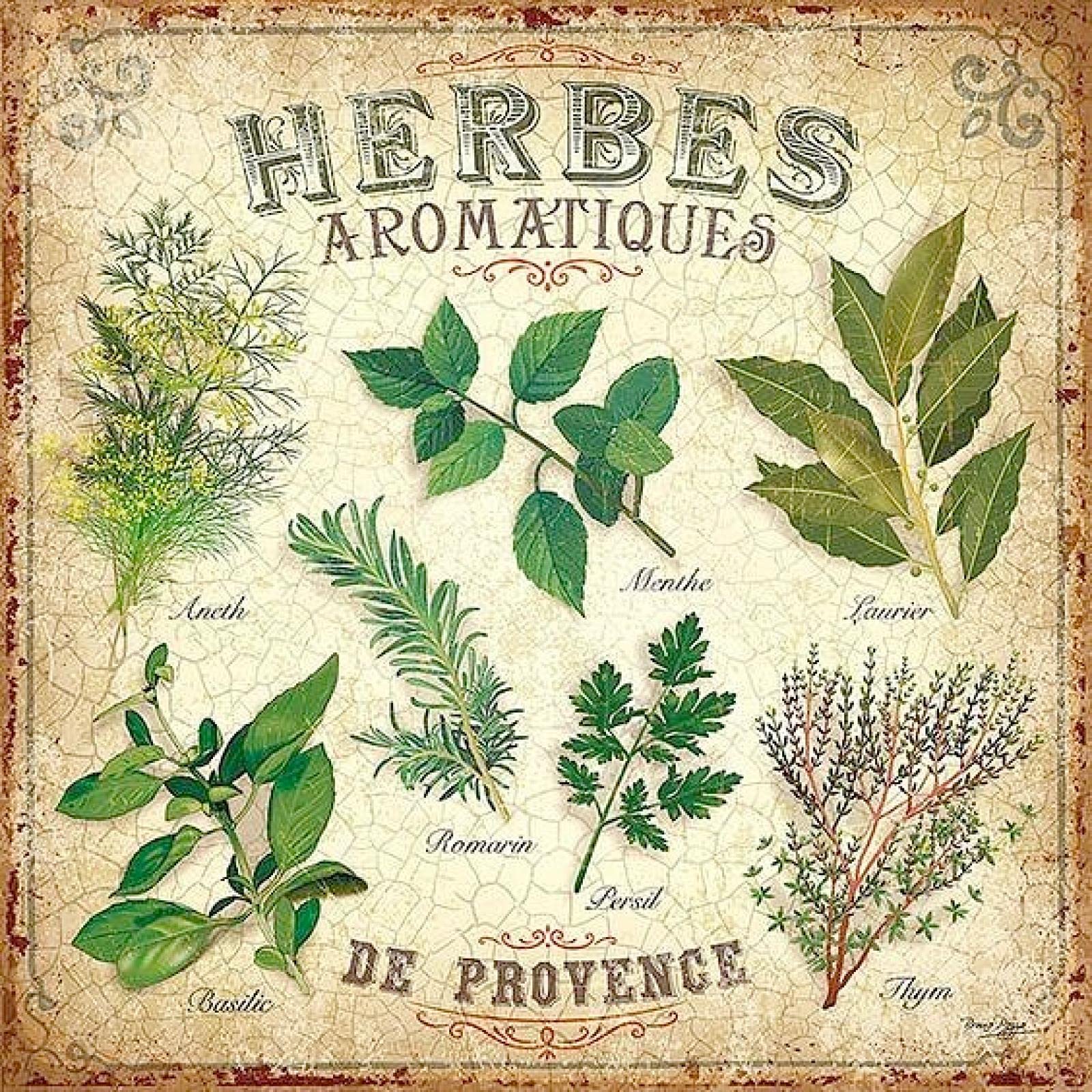 Plaque Vintage Rock N Roll Décorative Pour Homme - Test Et Avis