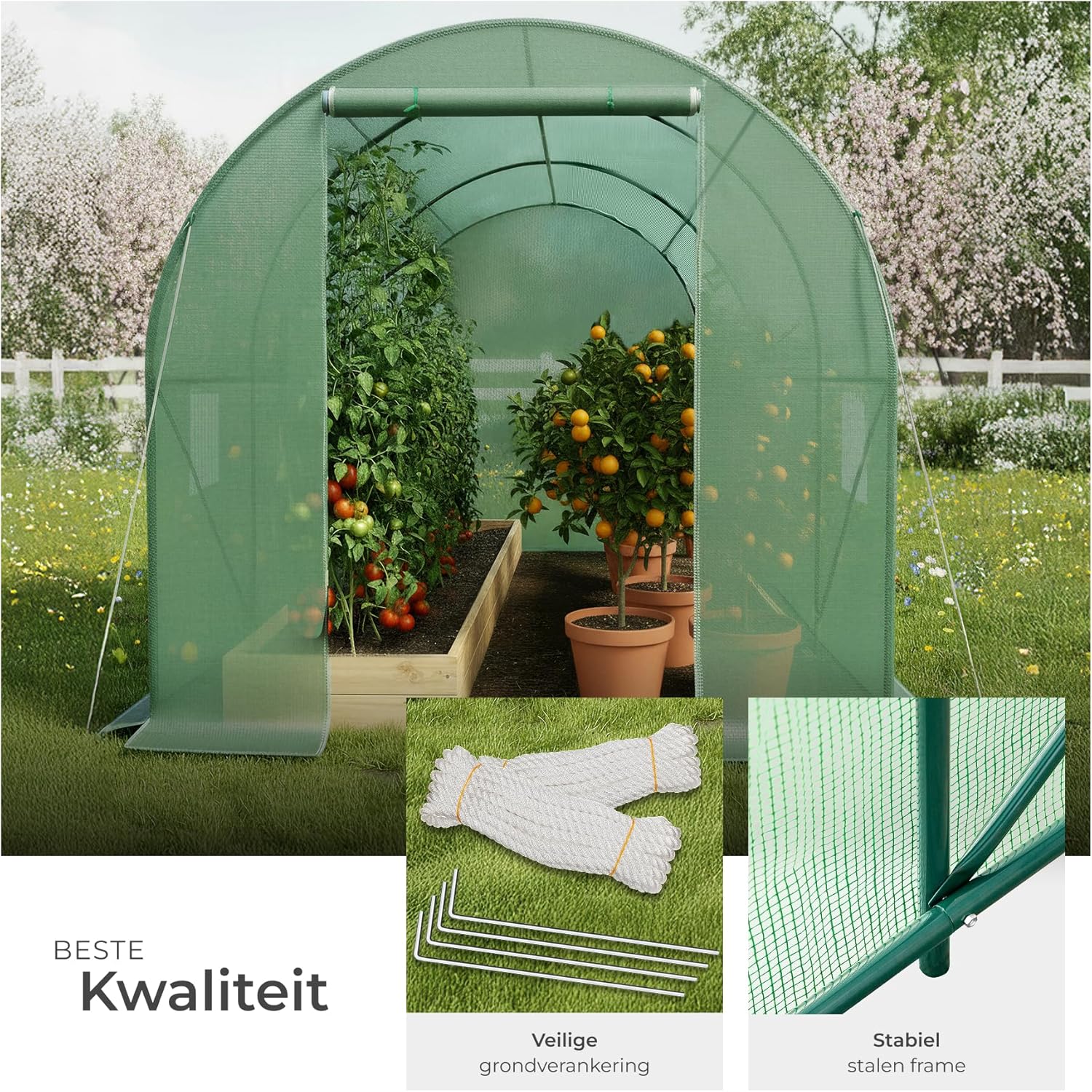 Greenhouse interior with frame and anchoring components