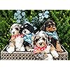 Product Photo 3