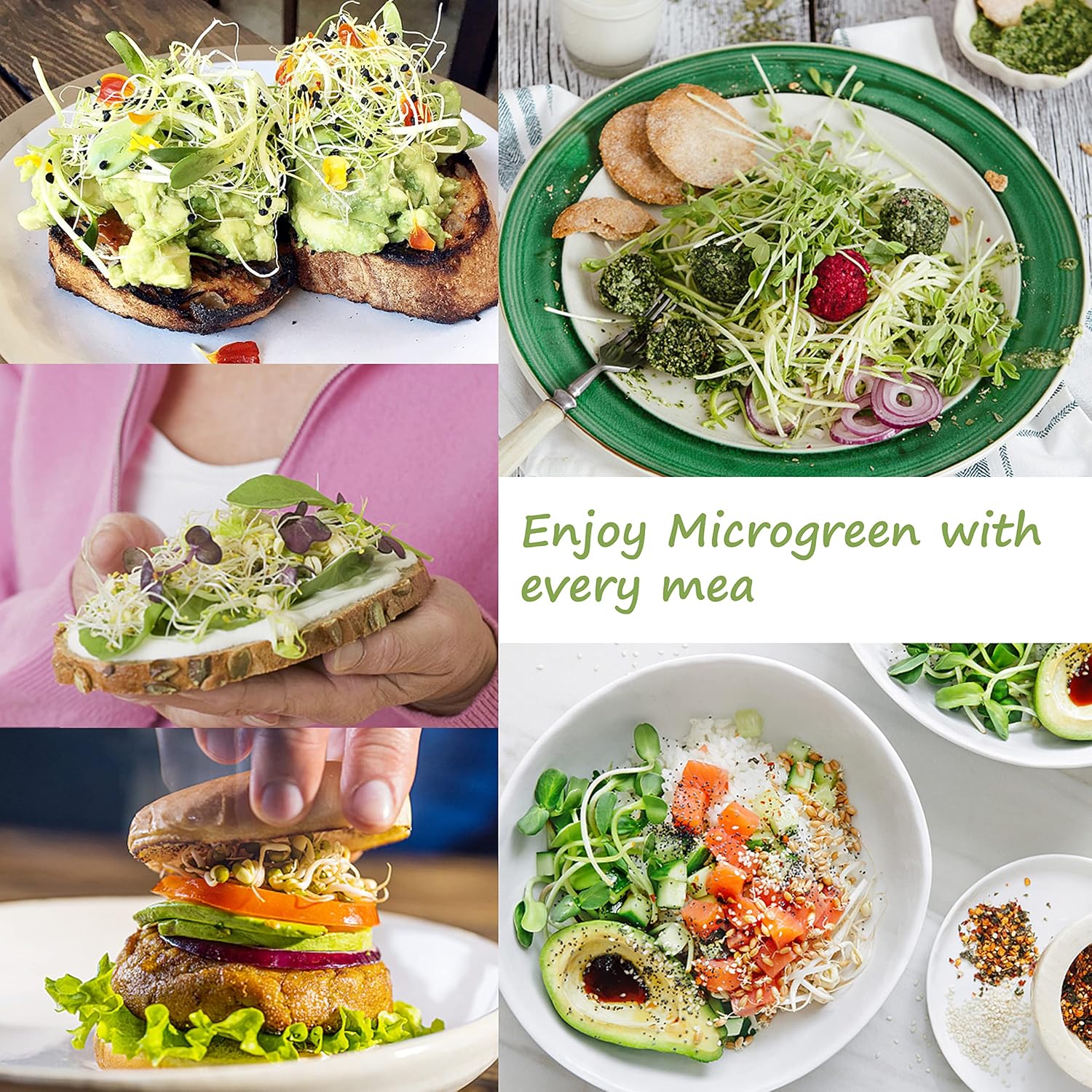 Microgreen Growing Trays, 5" x 5" Sprouting Tray with Humidity Dome, 1.2 mm Small Mesh Holes, BPA Free, Sprouter Kit for Growing Mirco Seeds, Like Broccoli, Alfalfa, Radish, Clover - 4 Pack | Colorful