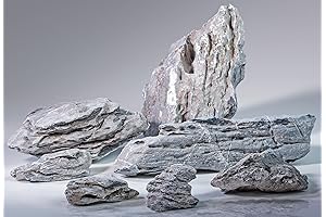 Pisces Seiryu Stone: Enhance Your Aquarium with Natural Beauty for Aquascaping