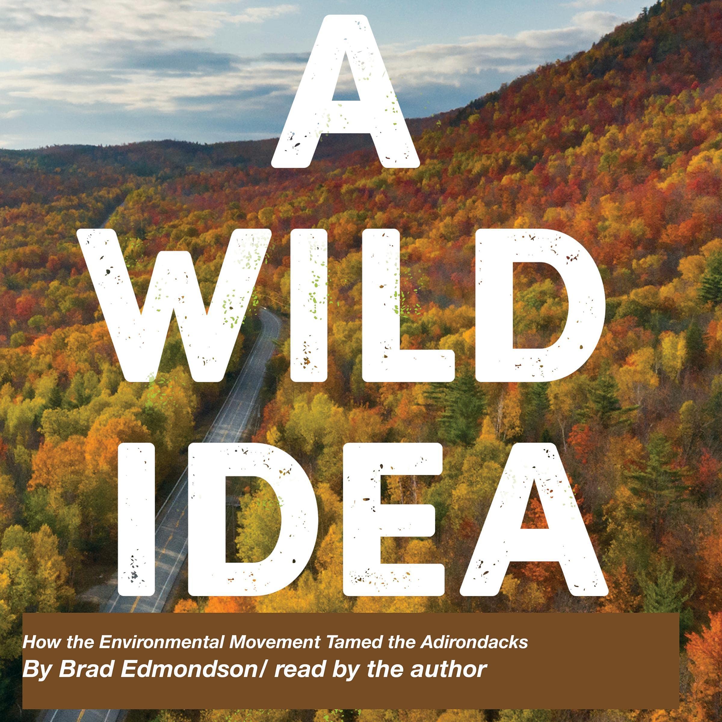 Cover art for A Wild Idea