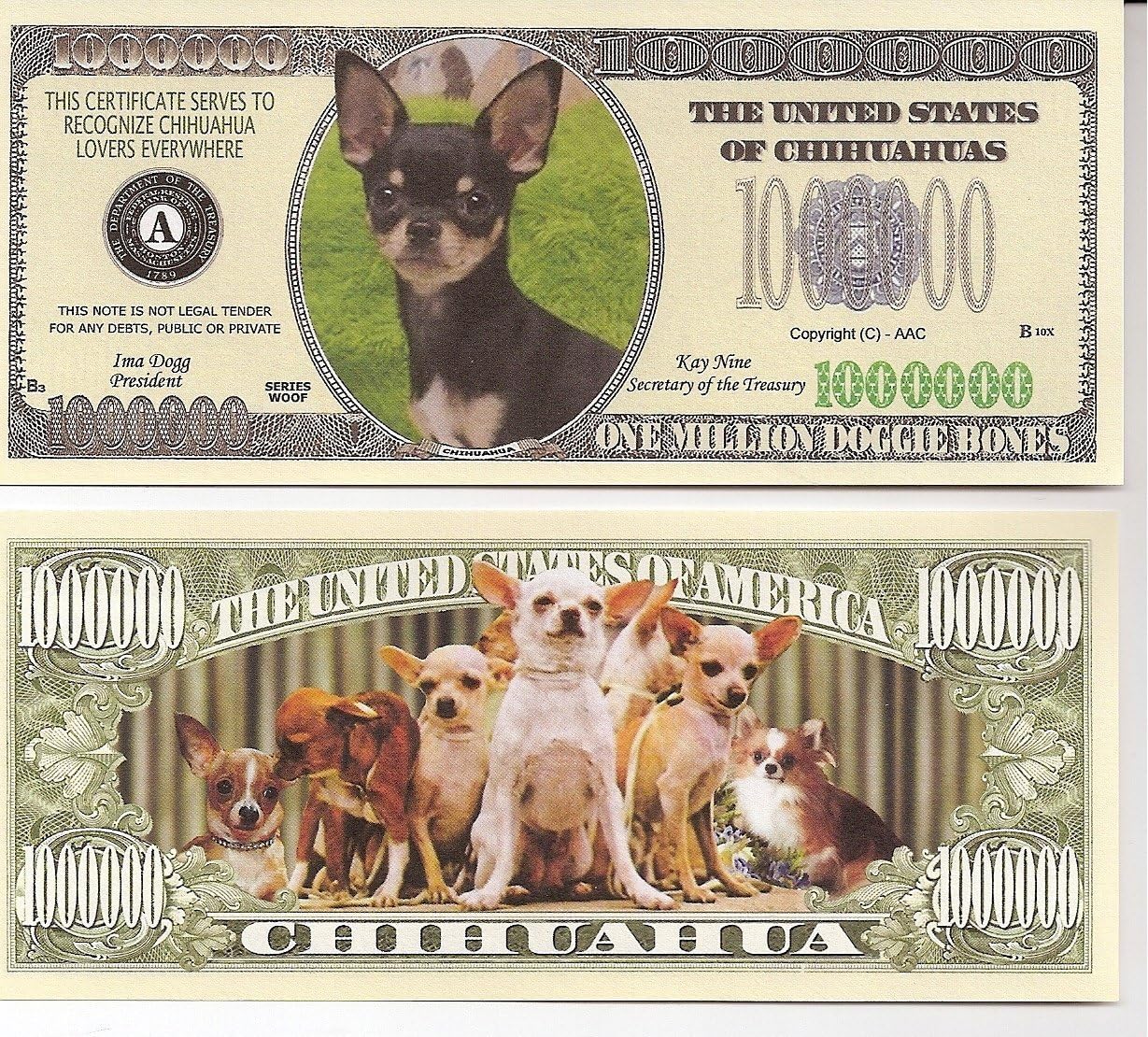 American Art Classics Chihuahua Million Dollar Novelty Bill Collectible - Collectible Novelty Million Dollar Bill in Currency Holder - Fun Gift for Chihuahua Lovers