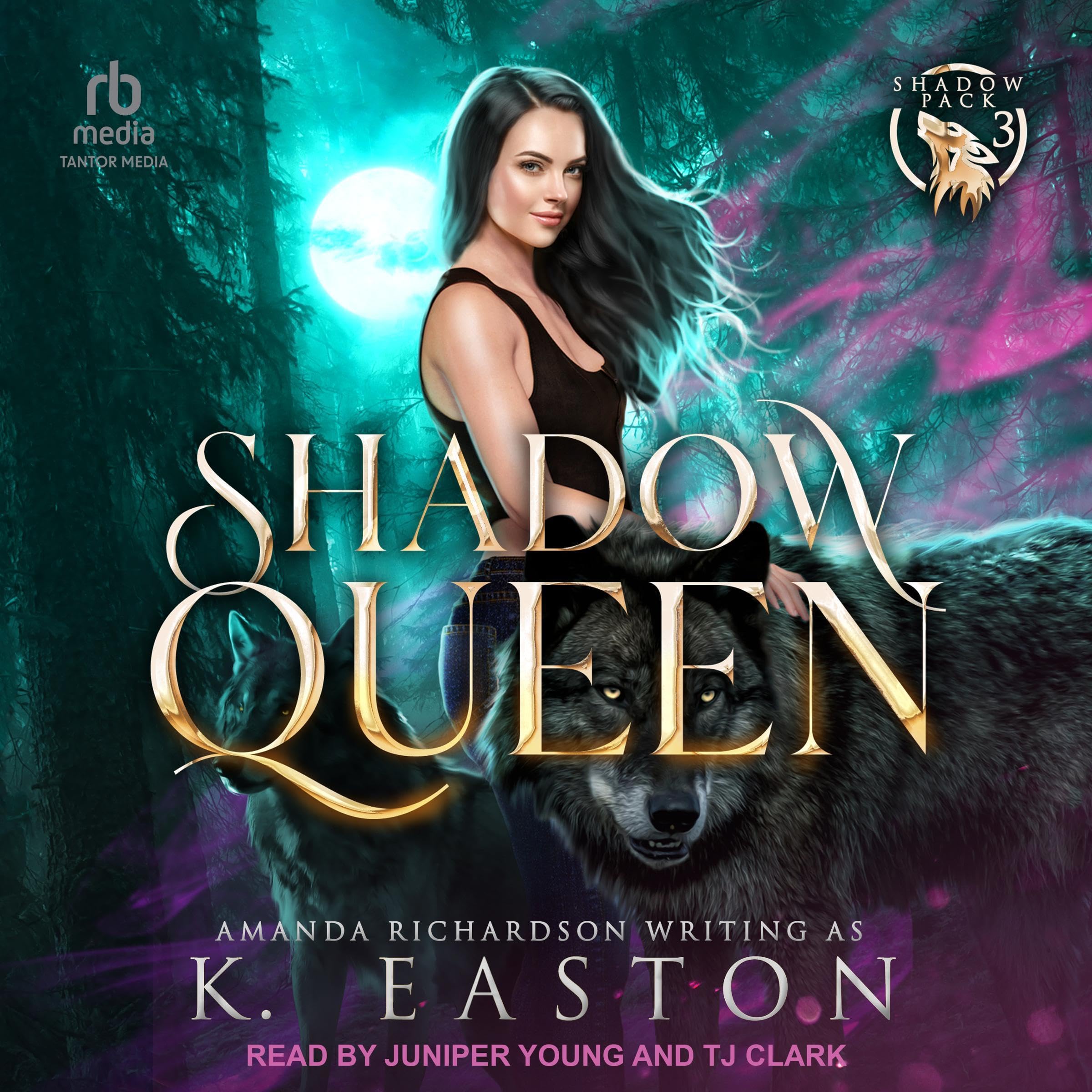 Cover art for Shadow Queen
