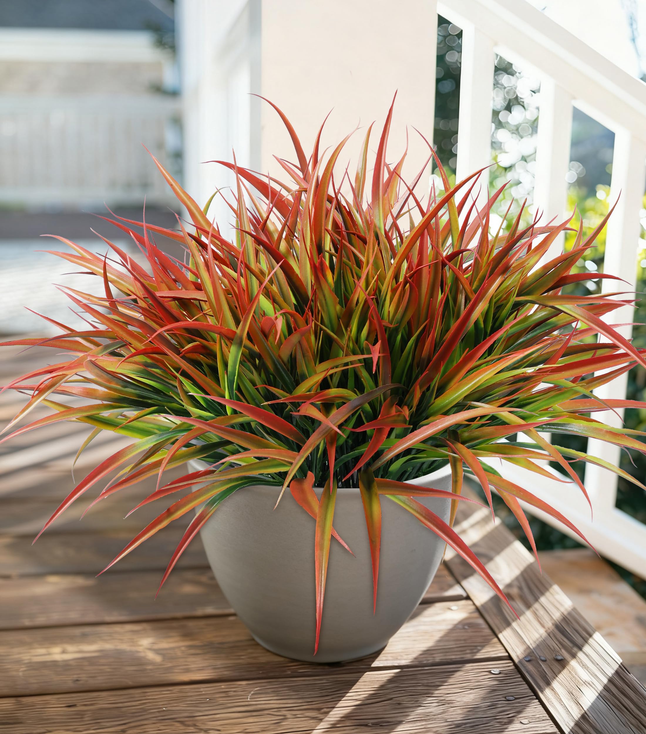 Ivydale 12-Pack Gradient Red Grass