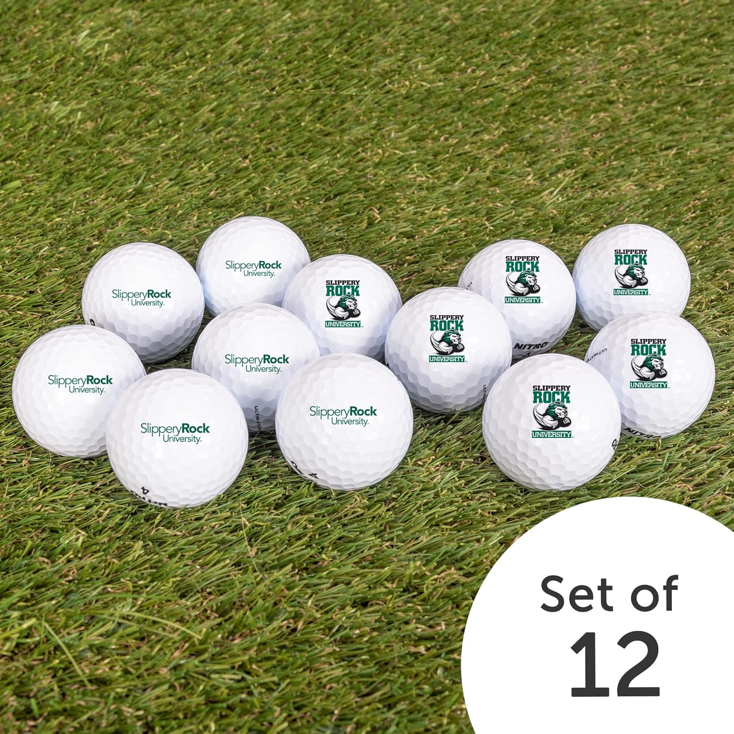 Desert Cactus Slippery Rock University Golf Balls 12 Pack – SRU The Rock Full Color Dozen – Officially Licensed Sport Team Accessory
