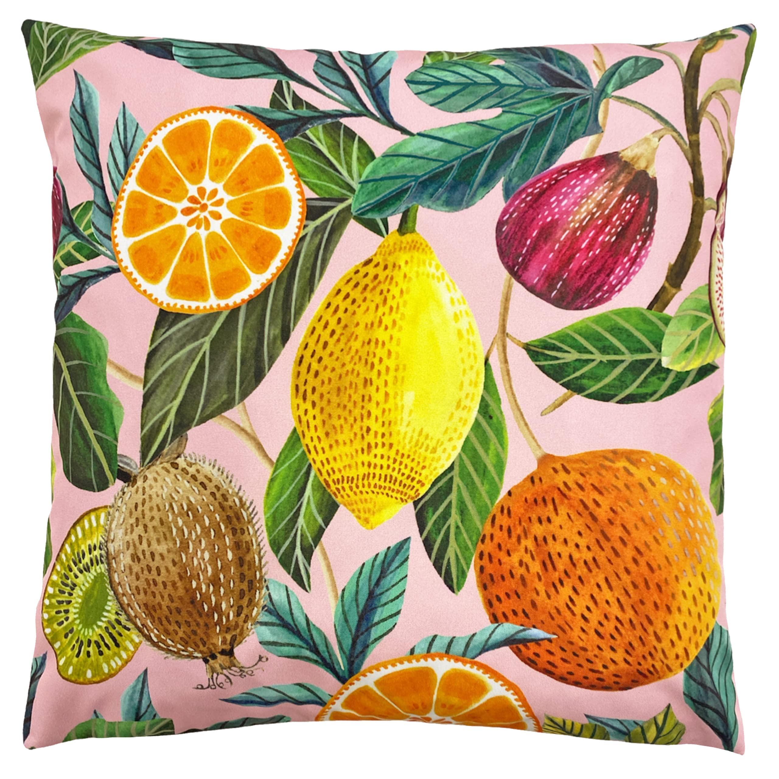 Evans Lichfield  Citrus Outdoor Cushion - colour - 43x43cm