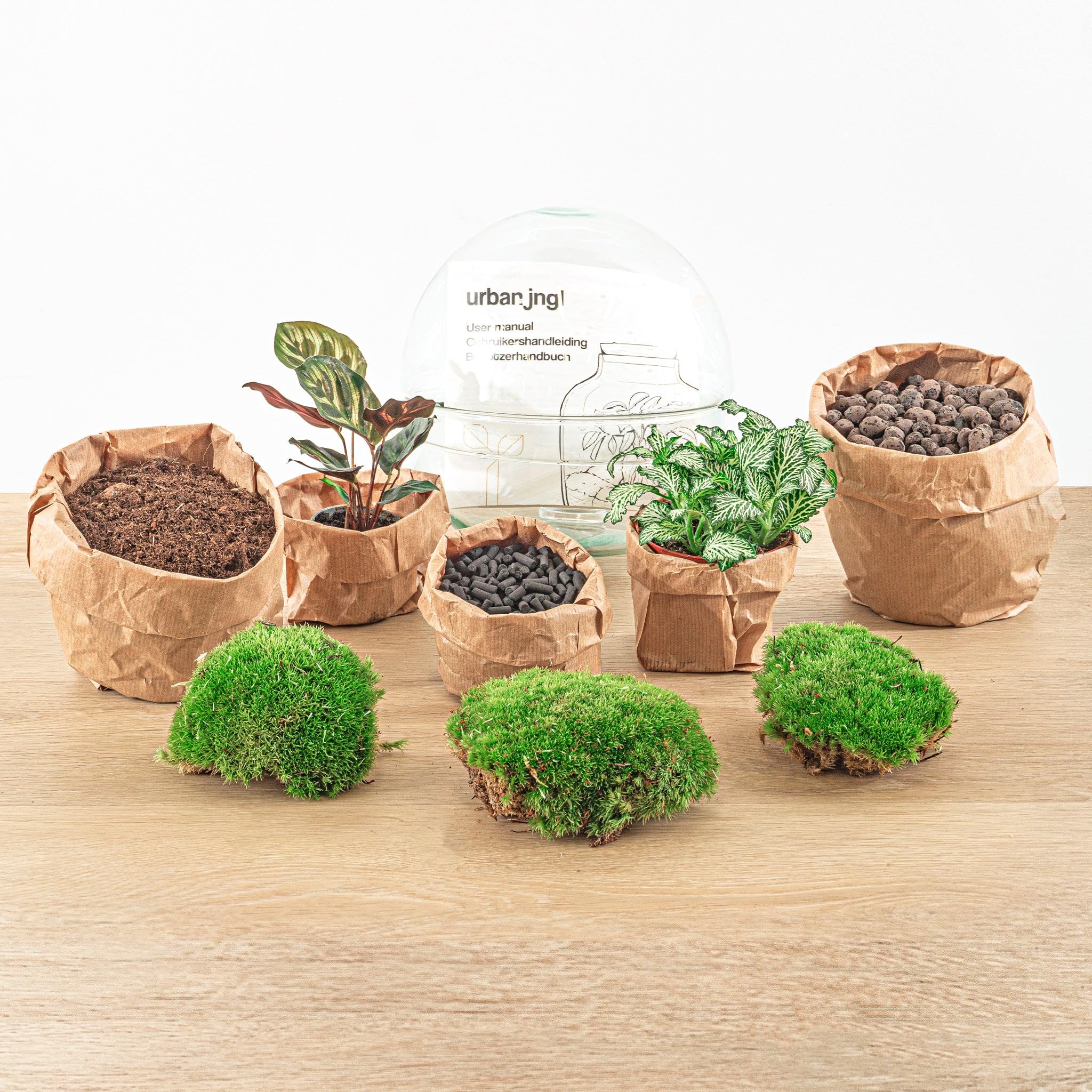 Terrarium do roślin • kopuła • ekosystem z roślinami • ↑ 20 cm – DIY – kompletny zestaw terrarium – terrarium – miejski terrarium – terrarium + grabienie + łopatka + pęseta + nożyczki