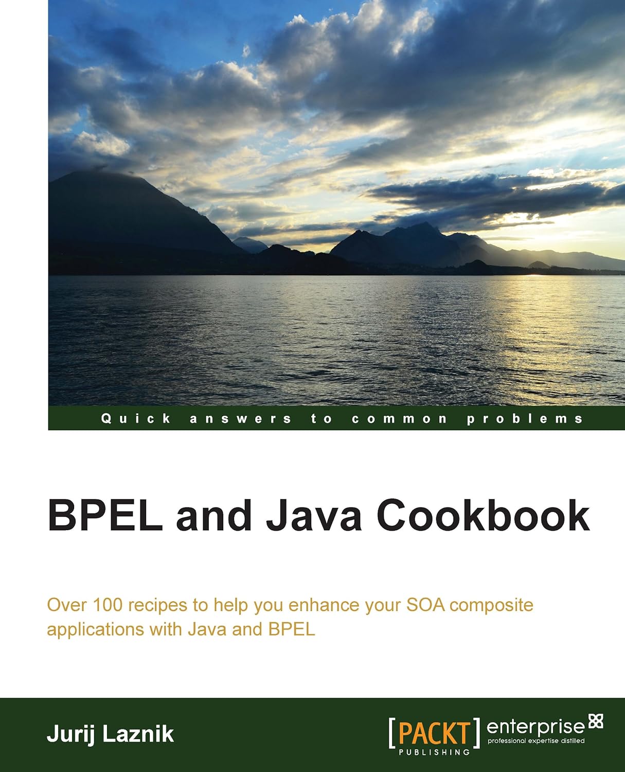Amazon.com: BPEL and Java Cookbook eBook : Laznik, Jurij: Kindle Store