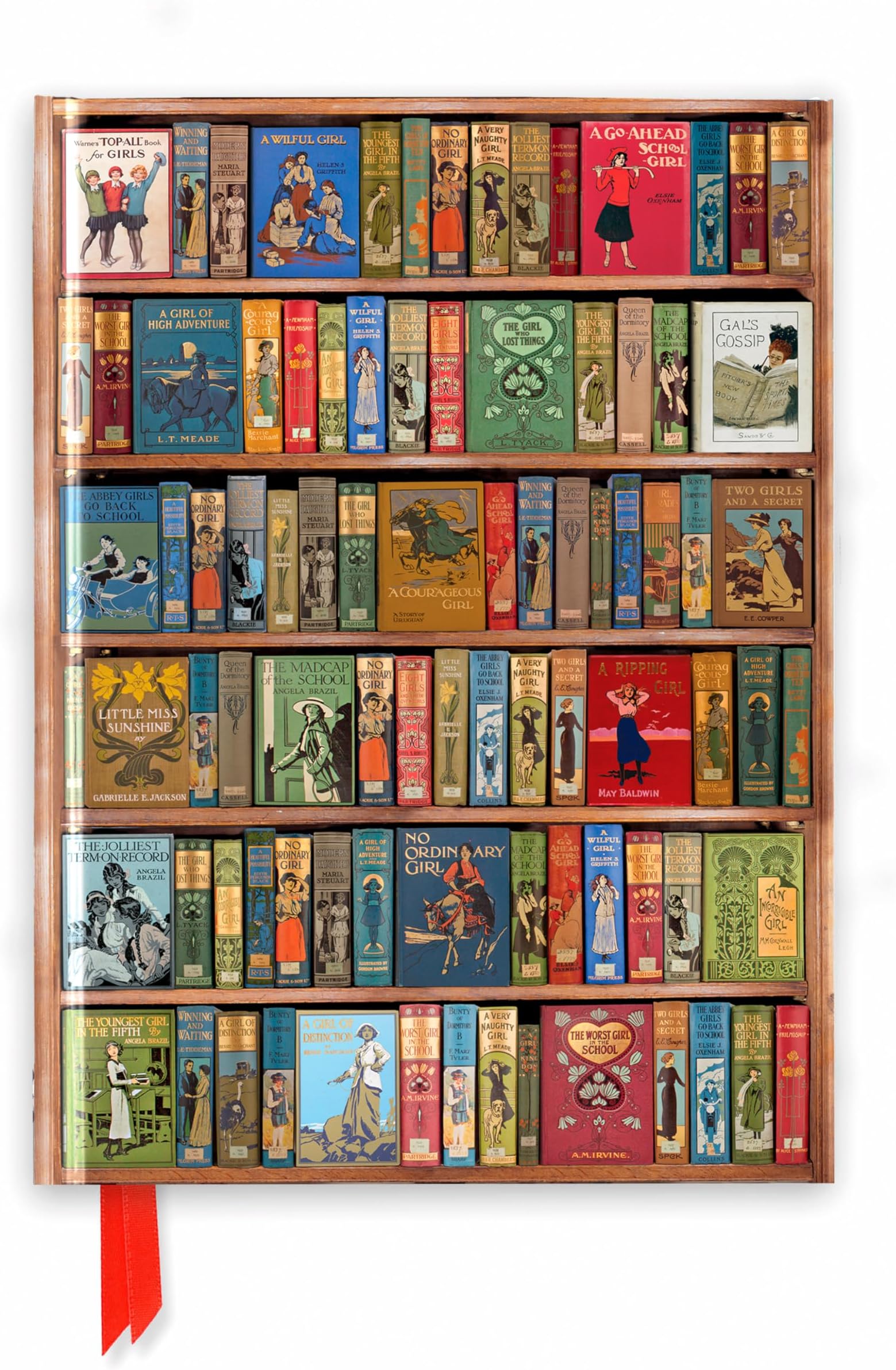Bodleian Libraries: High Jinks Bookshelves (Foiled Journal) (Flame Tree Notebooks)
