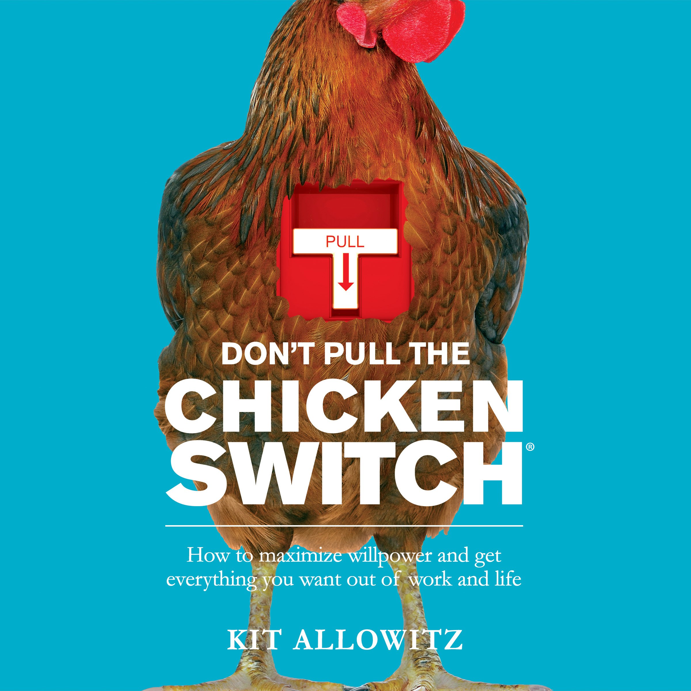 Don't Pull the Chicken Switch
