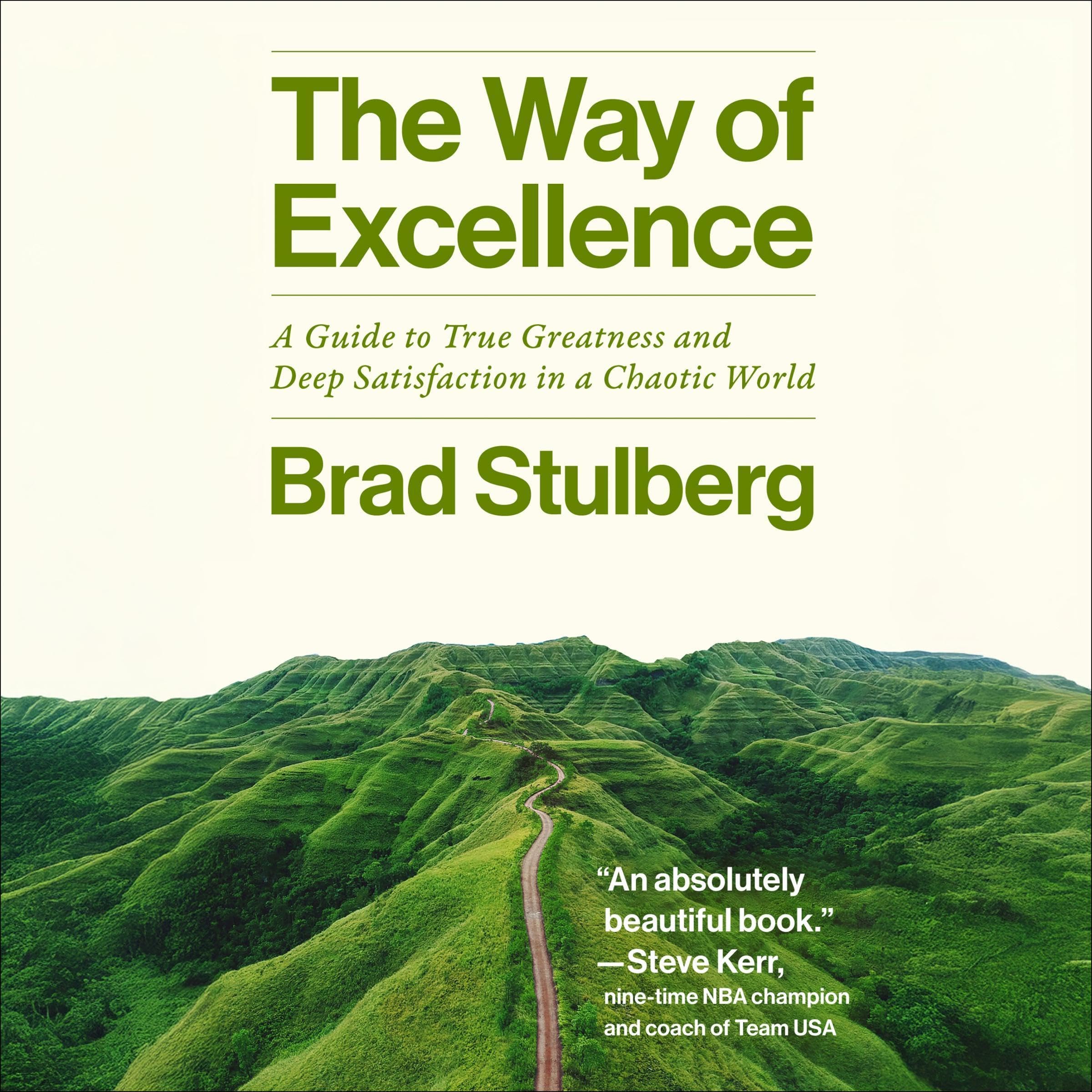 Cover art for The Way of Excellence