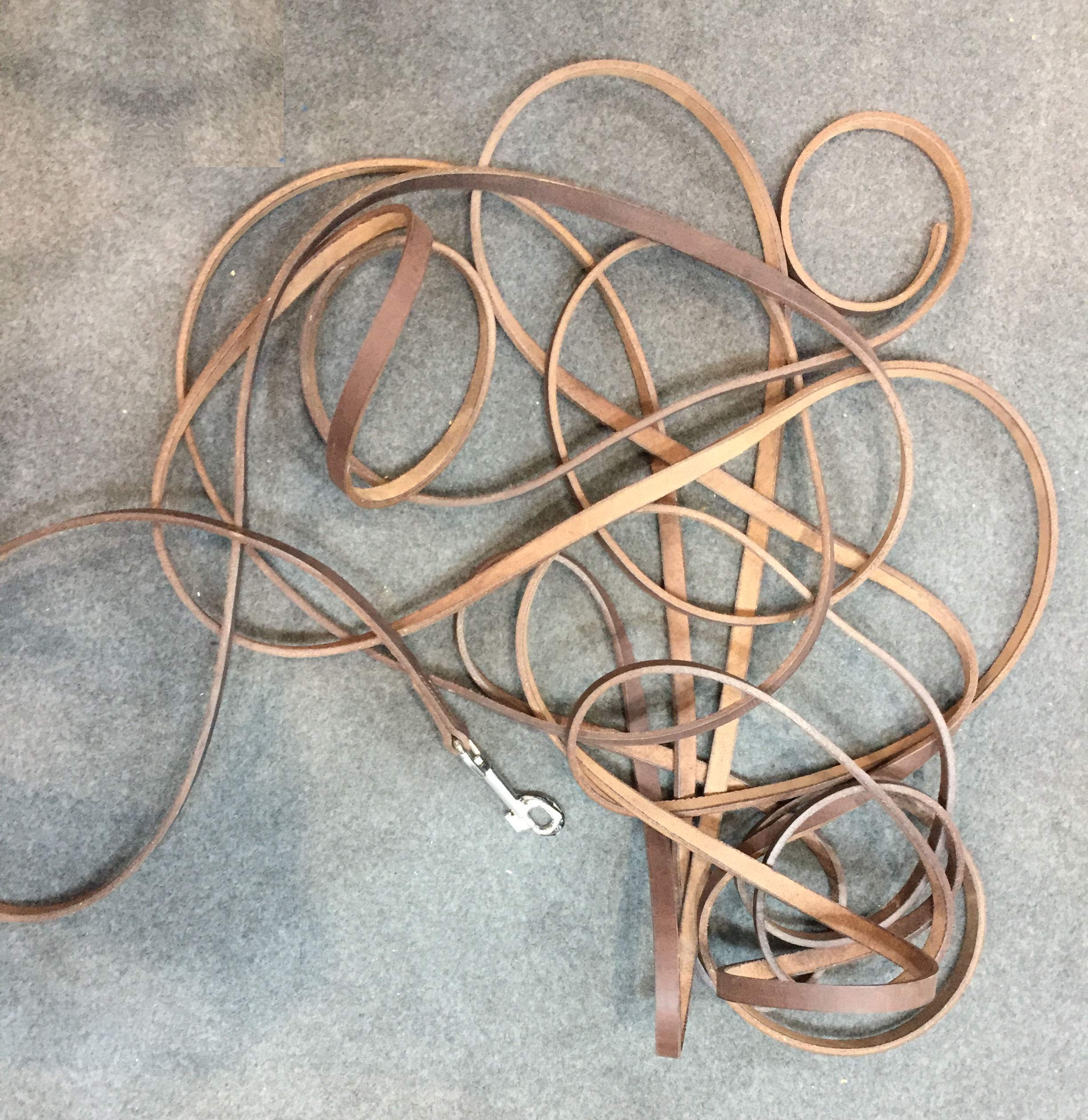 Laisse en cuir pour chiens Longueur 10 m - Pour tous les chiens - Laisse longe pour chevaux