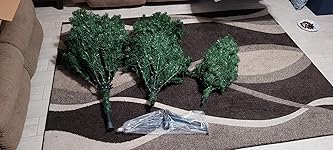 Review Image by Cheri Sylvester Cheri Sylvester