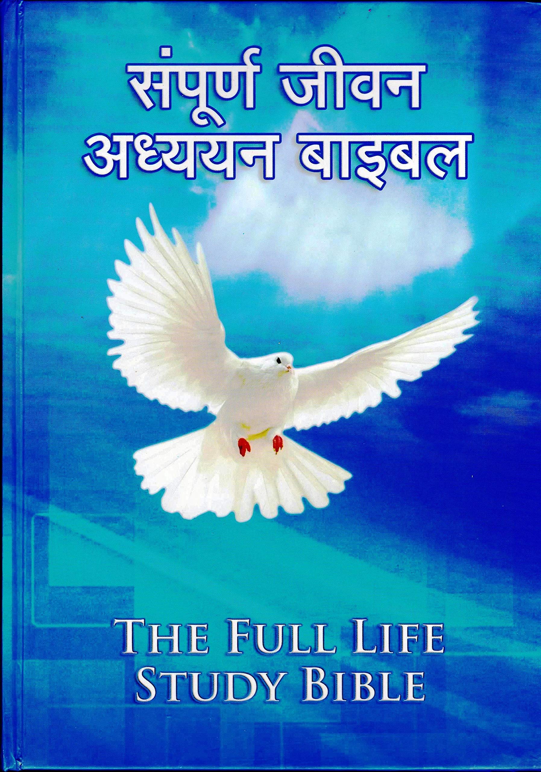 Hindi Full Life Study Bible