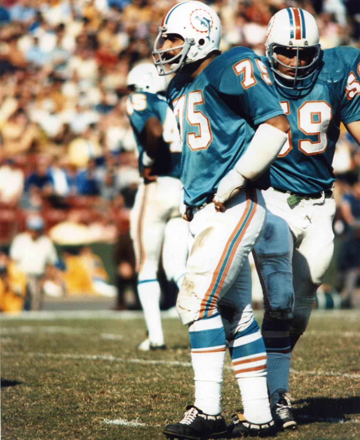 Amazon マニー・フェルナンデスマイアミ・ドルフィンズ8 x 10スポーツアクション写真( H ) フォト・カード・コイン