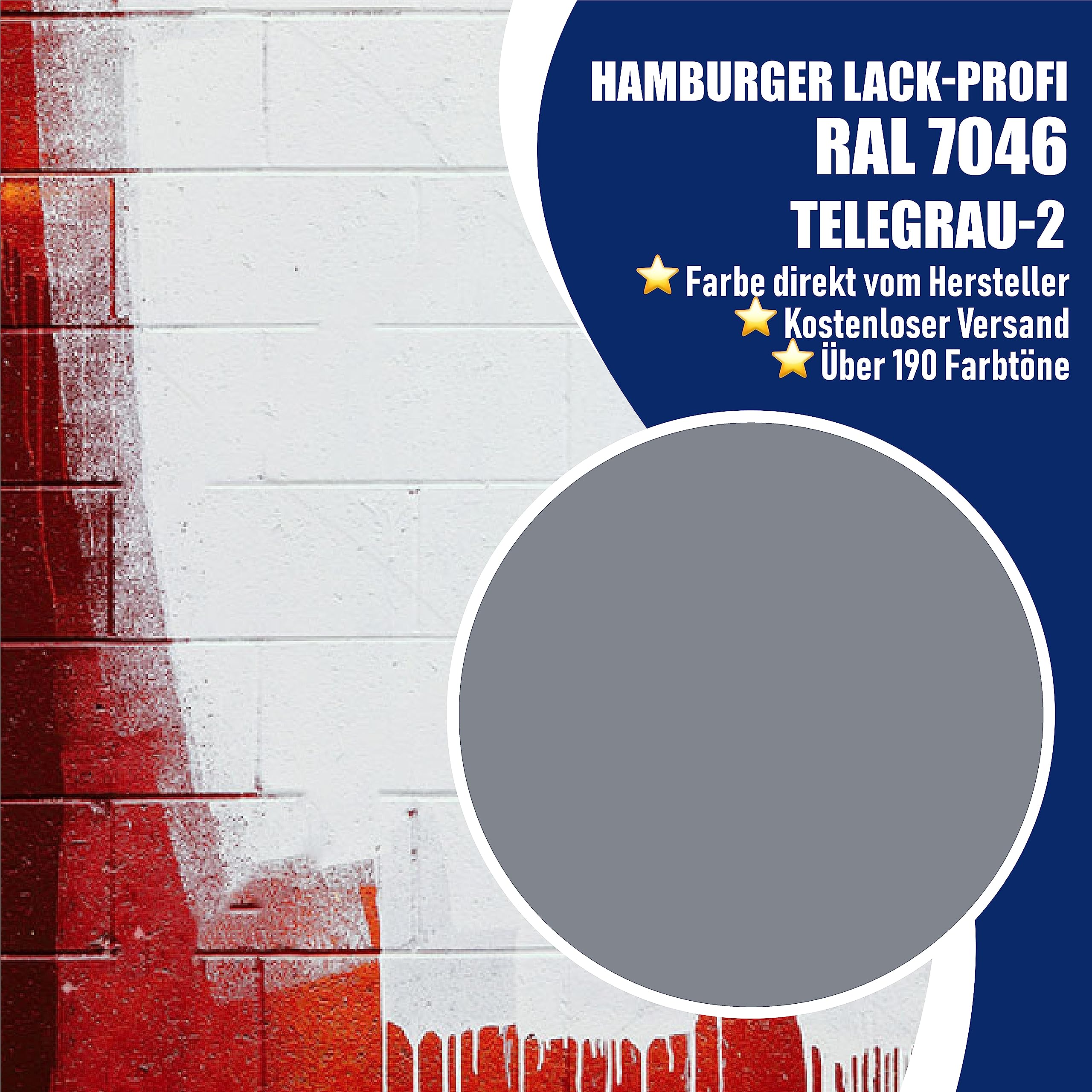 Hamburger Lack-Profi Betonfarbe SEIDENMATT Telegrau 2 RAL 7046 Grau Bodenfarbe Bodenbeschichtung Betonbeschichtung Fassadenfarbe (1 L)