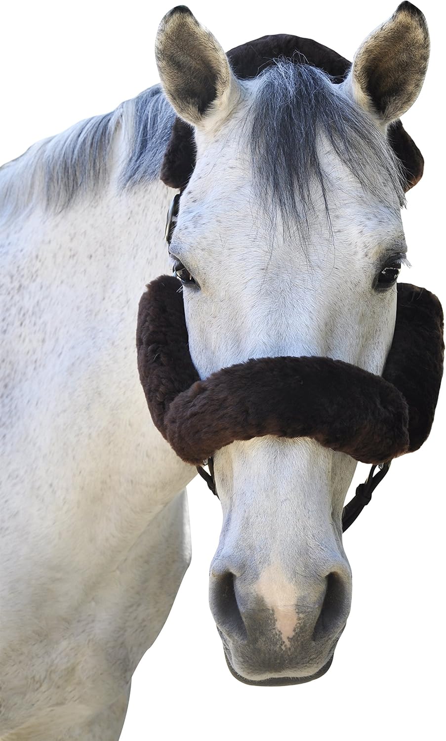 ECP メリノ シープスキン ホルター フリースセット 馬の保護 緩和 4ピース ブラウン