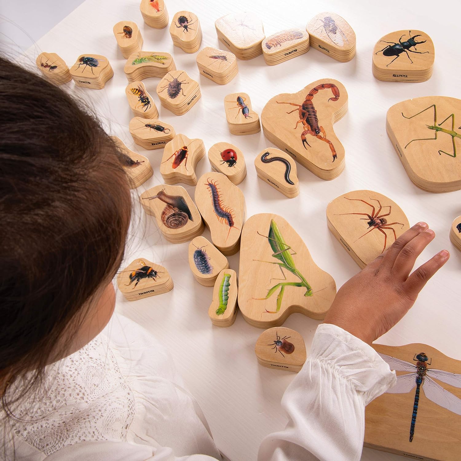 TickiT-73410 Wooden Minibeast Blocks - Set of 33 - Bug Blocks for Toddlers 12m+ - Printed with Real Images - Double-Sided - Thick, Free-Standing Blocks for Role Play