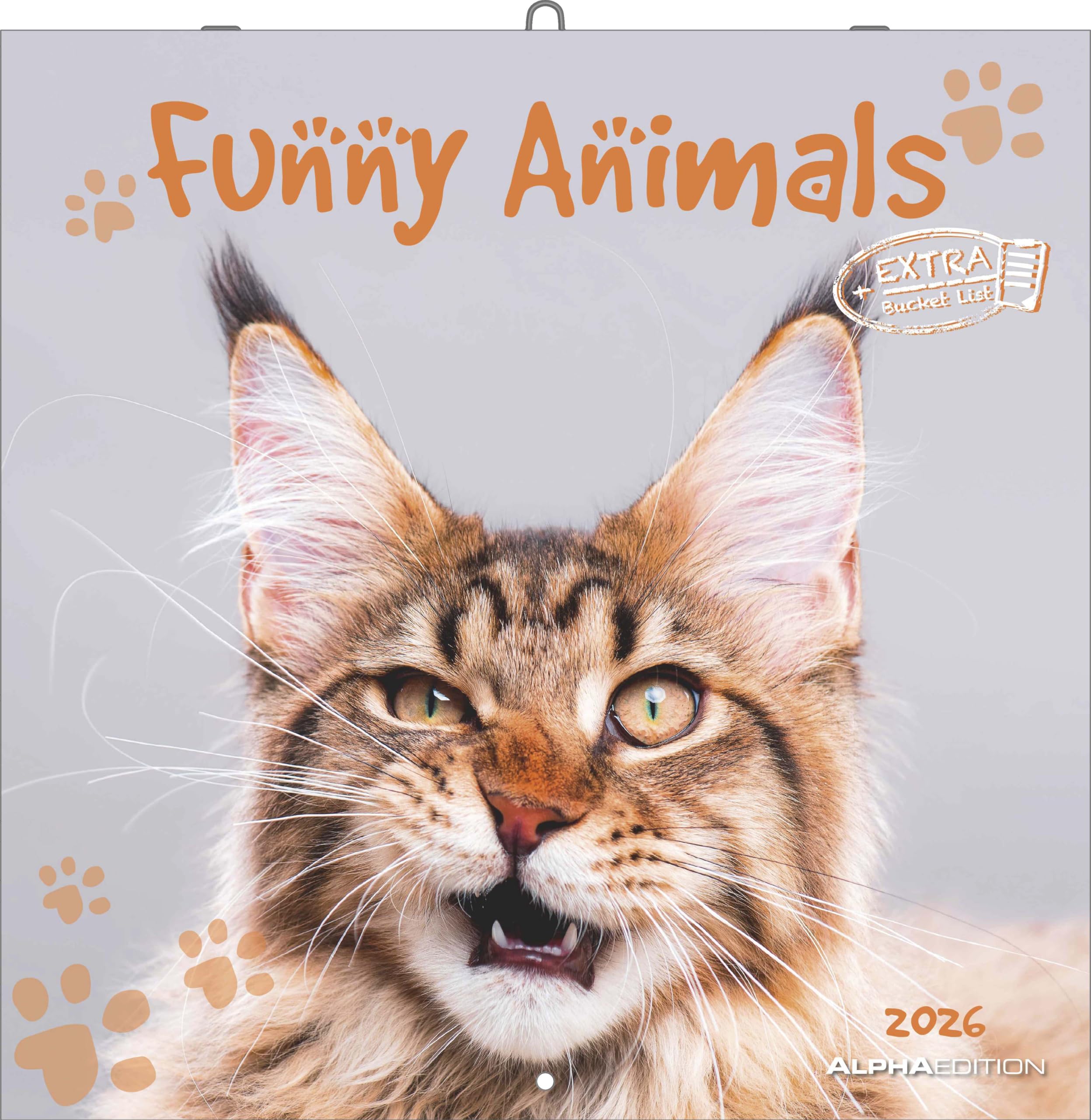 Alpha Edition - Funny Animals 2026 – Wandkalender 30×30 cm (30×60 geöffnet) mit lustigen Tierfotos & Sprüchen, 6-sprachiger Broschürenkalender mit ... Feiertagen: by Lucia Heffernan