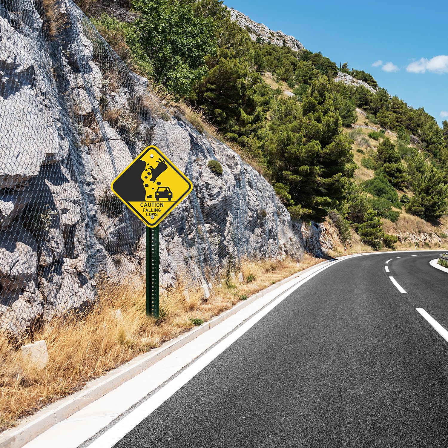 SmartSign 12 x 12 inch “Caution - Falling Cows” Funny Road Metal Sign, 63 mil Aluminum, 3M Laminated Engineer Grade Reflective Material, Black and Yellow, Made in USA