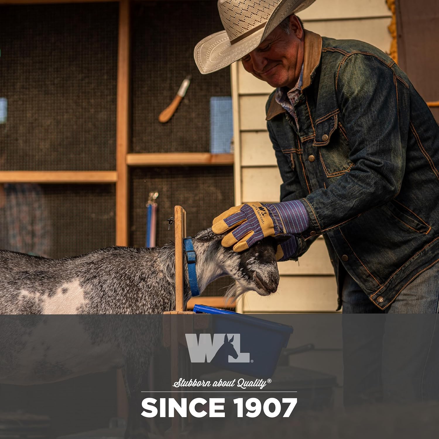 Wells Lamont Men's White Mule Heavy Duty Cowhide Leather Palm Work Gloves, Medium (3300M) - Image 6