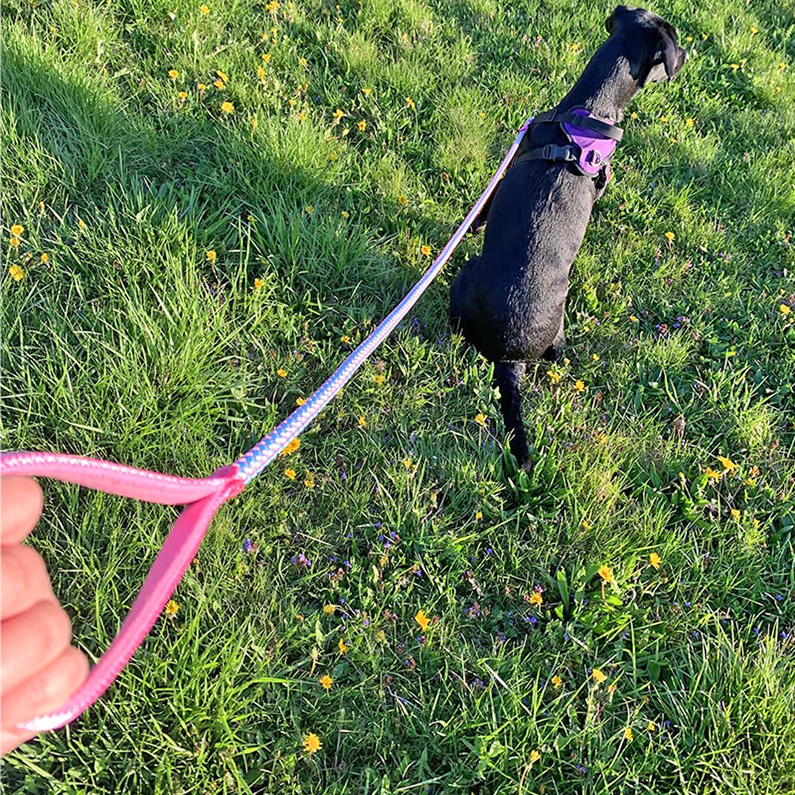 Correa Reflectante para Perros, Mejor Correa Trenzada de Nailon, para Perros medianos y Grandes (180 cm x 12 mm, Rosa)