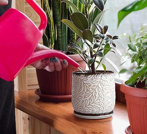 Miniatura 2 de Maceta de cerámica D'vine Dev con hojas en relieve de 5 pulgadas, con agujero de drenaje y platillo, blanco ahumado, juego de 1, 27-A-V-1