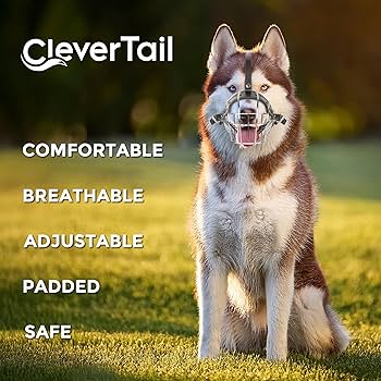 Dog Muzzle CleverTail Metal Husky Muzzle For Large Sized Dog U2013 Basket Muzzle For Dogs With Adjustable Leather Straps U2013 Steel Cage To Dog Muzzle For Small Dogs