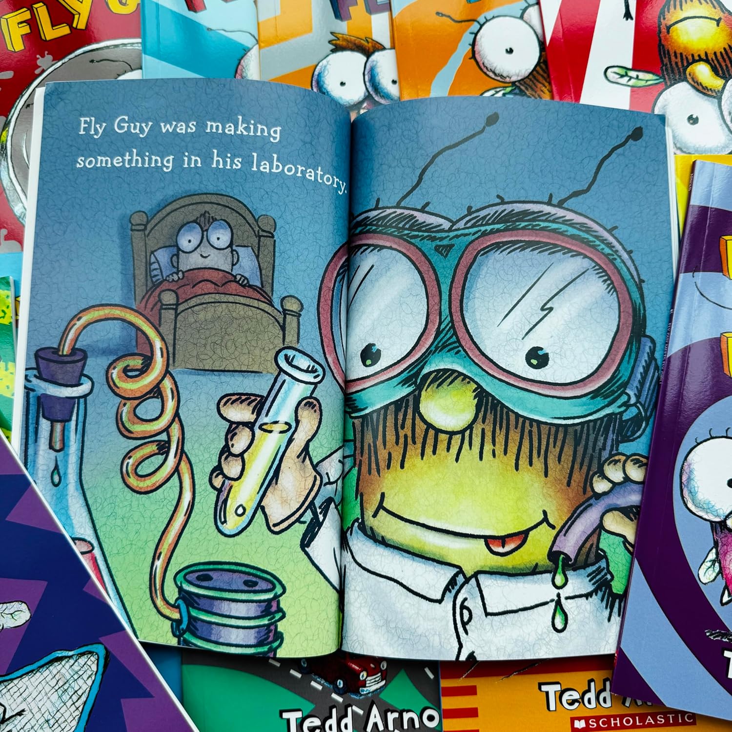 Fly Guy 1-15 Complete Collection Series Pack Set, 15 pcs Boxed Set, For1st 2nd Grade Children Kids