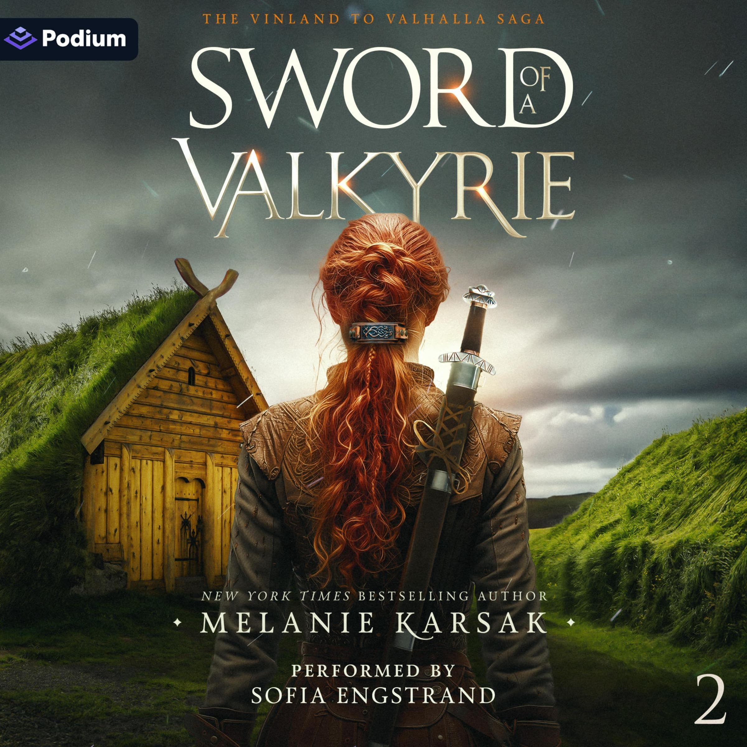 Cover art for Sword of a Valkyrie