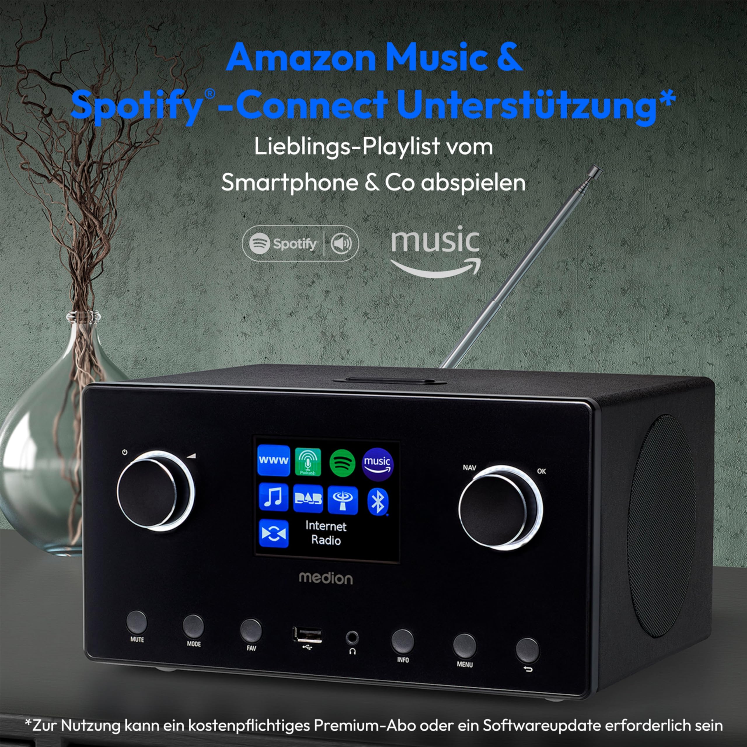 MEDION P85444 2.1 Internetradio mit Subwoofer (DAB+, UKW Radio, Spotify Connect, WLAN, Bluetooth, Streaming, Equalizer, Farbdisplay, USB, AUX, Wecker, Schlummerfunktion, Sleep Timer) schwarz