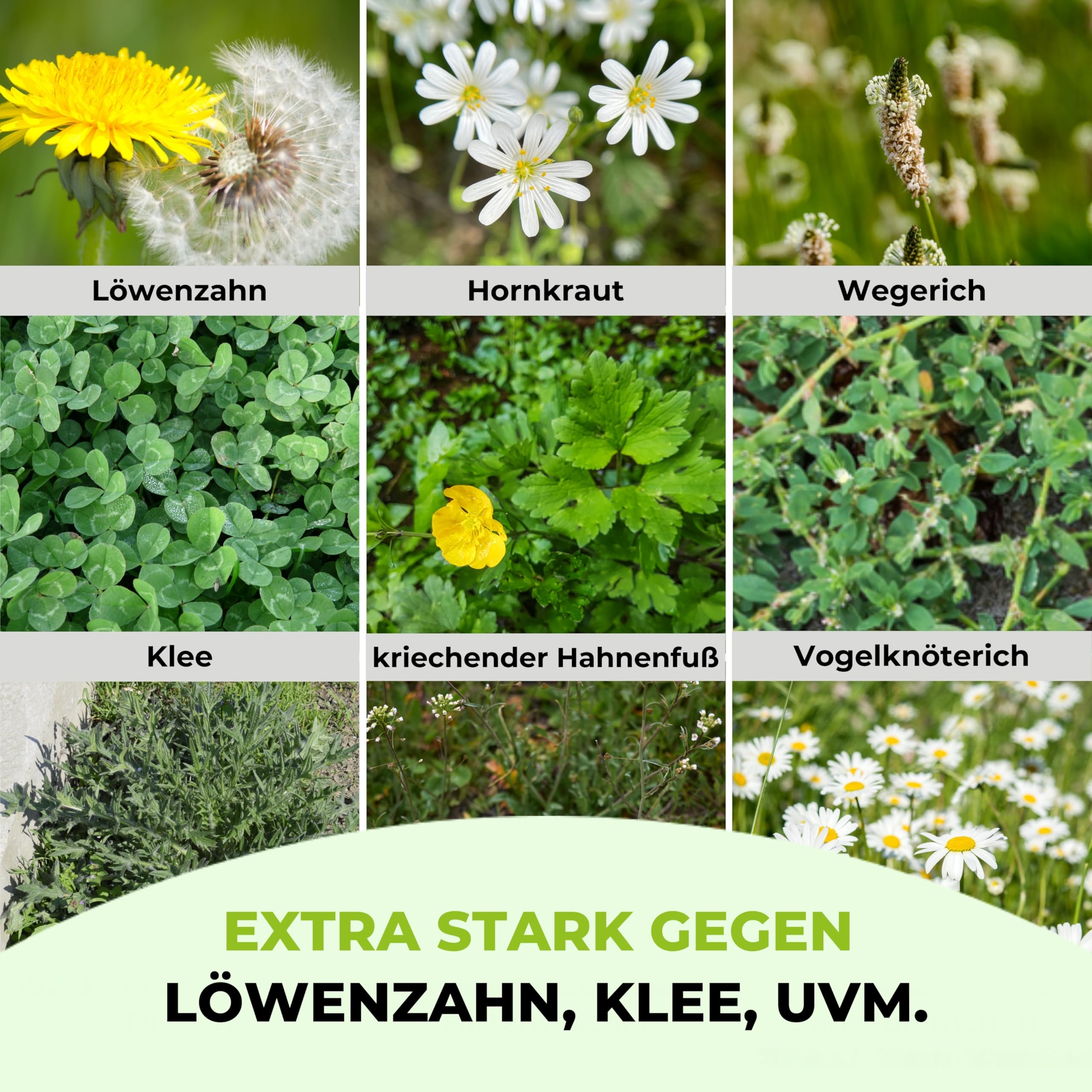 TerraUno Rasendünger mit Unkrautvernichter extra stark, 100 Tage Langzeitwirkung, 5 kg für 250 m², gegen Löwenzahn, Klee uvm., Rasenunkrautvernichter mit Dünger für saftiges Grün im Frühjahr & Sommer