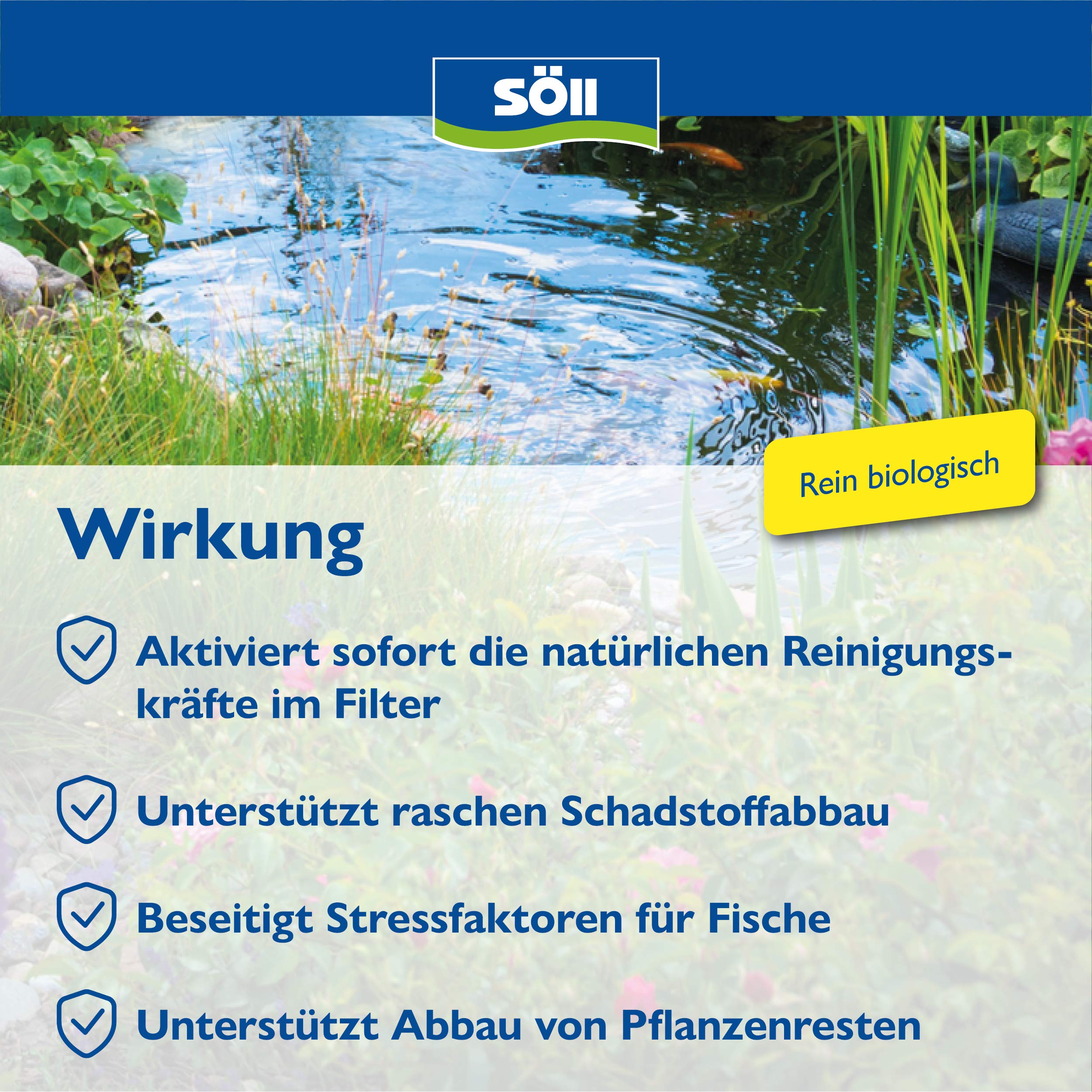 Söll Bactéries filtrantes – Activation de la biologie dans Le Filtre de Bassin 250 g