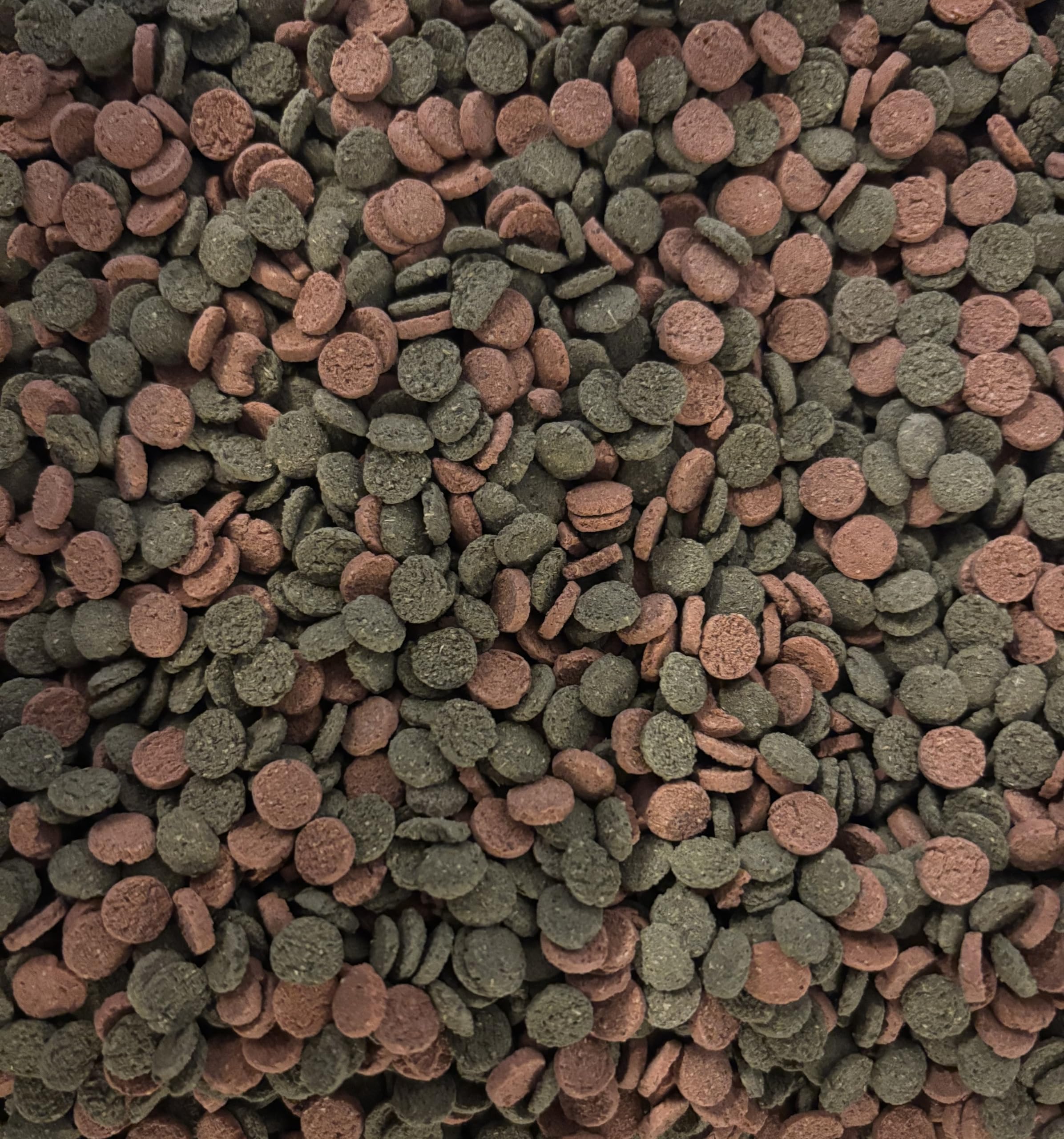 Miniwafers Mix – 6% de espirulina y astaxantina – obleas hundidas para herbívoros y herbívoros en acuarios – Alimento equilibrado para peces ornamentales e invertebrados (2500 g)
