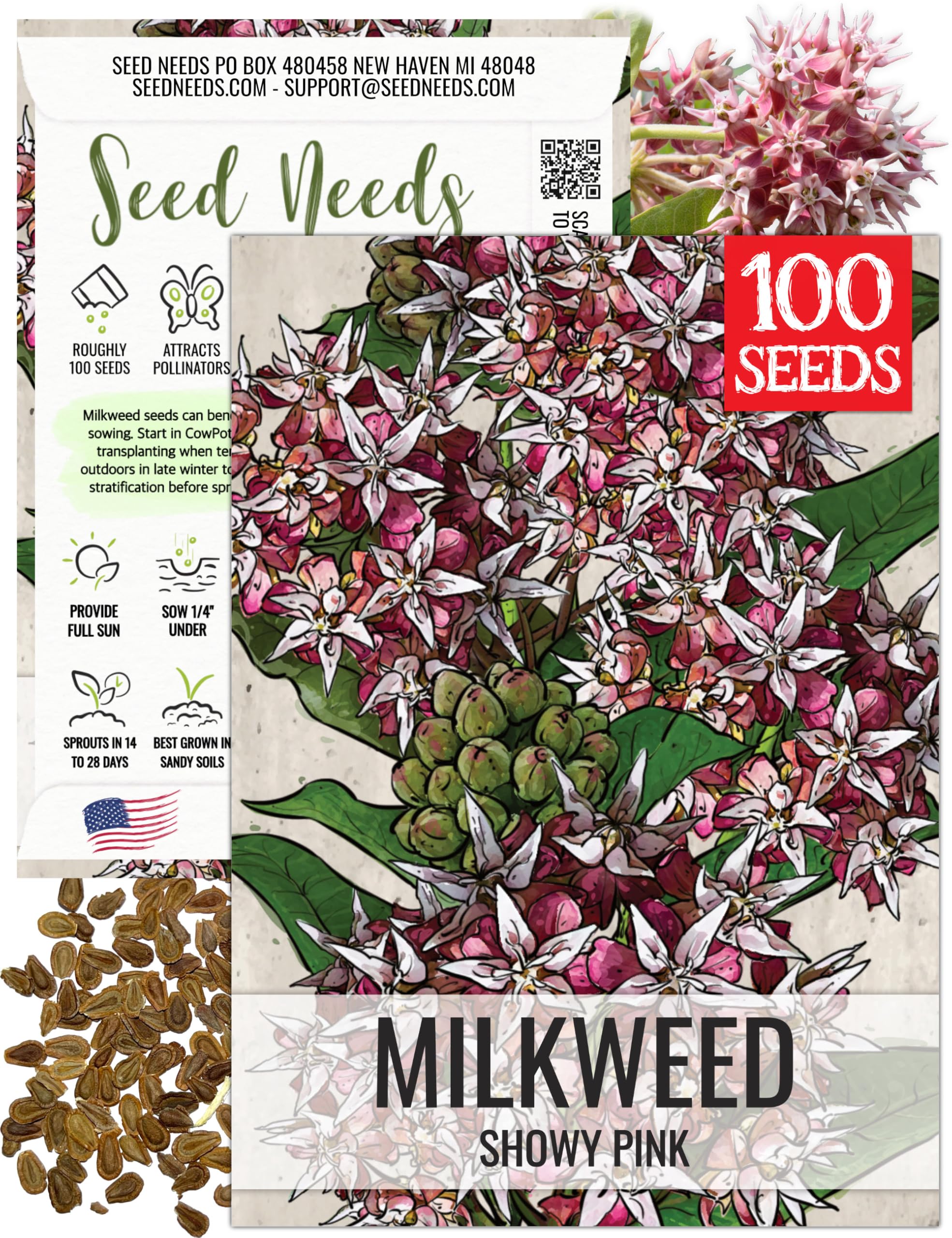 Seed Needs Showy Milkweed Seeds to Attract Monarch Butterflies 1 Pack