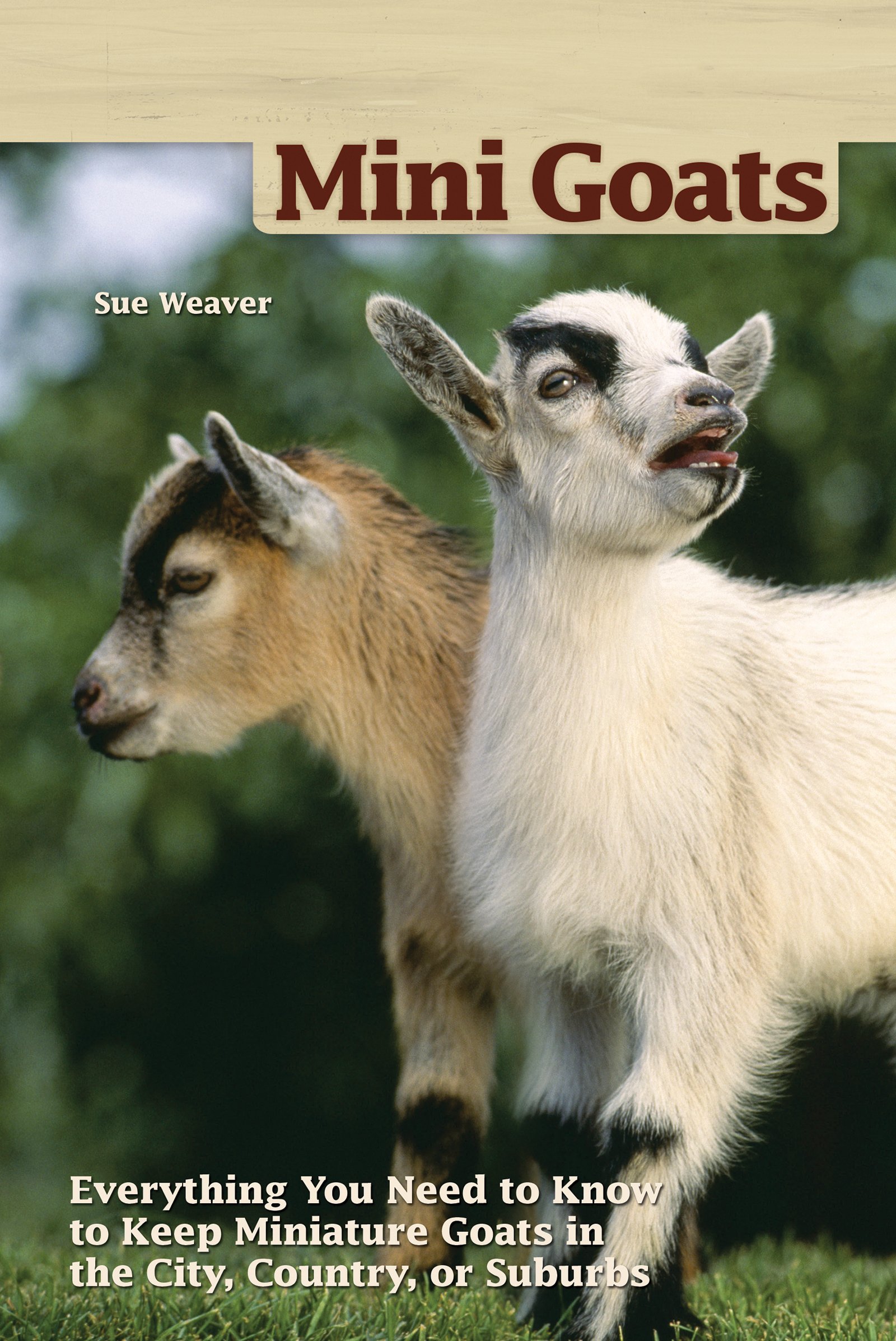 Fox Chapel Publishing Mini-Goats: Everything You Need to Know to Keep Miniature Goats in the City, Country, or Suburbs