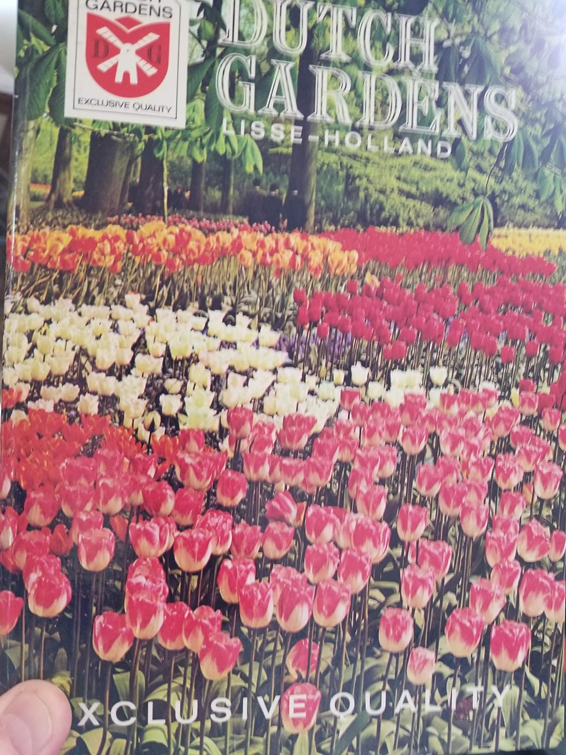 Dutch Gardens, Lisse Holland, Bulb Catalog No Author Books