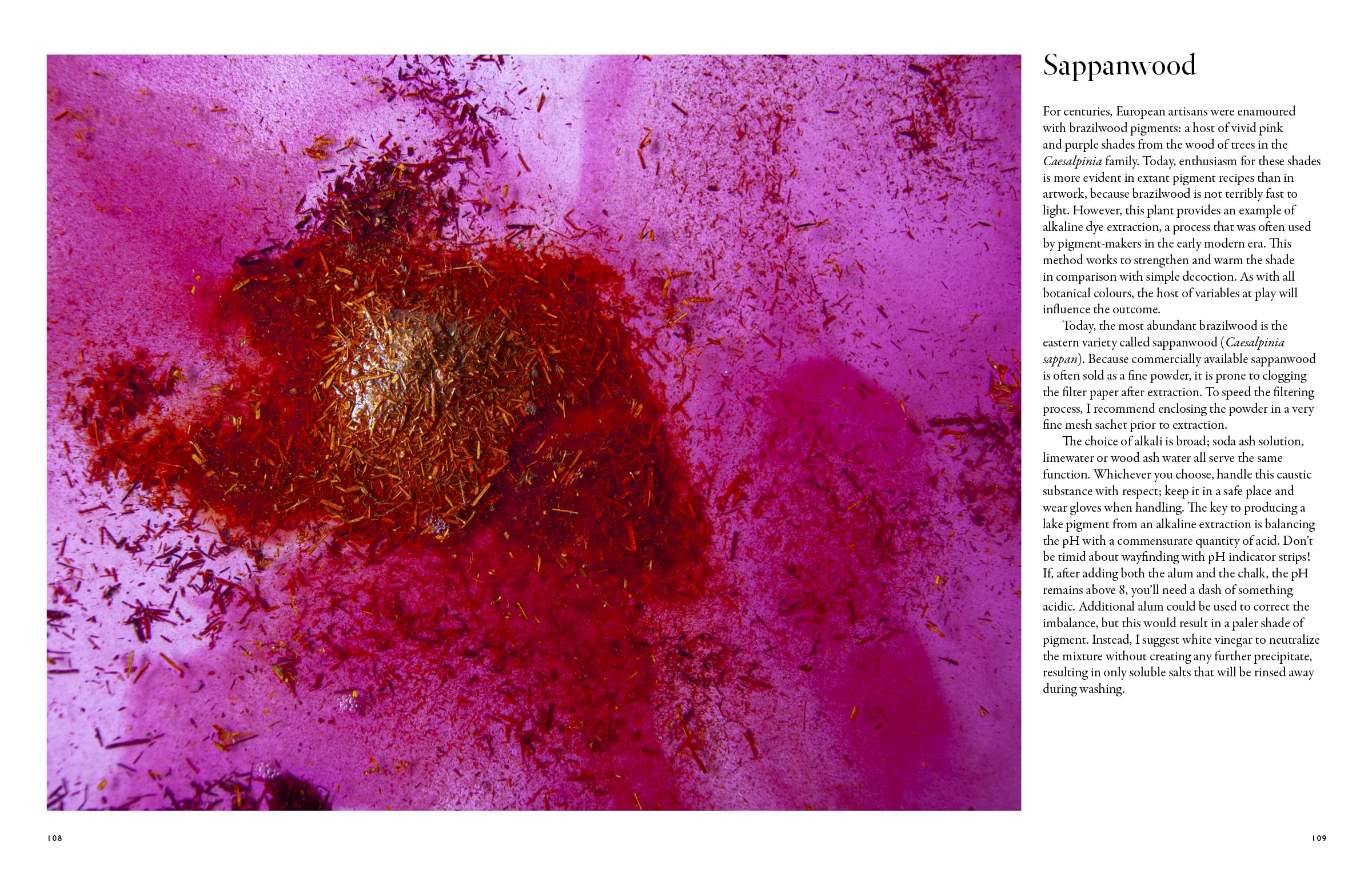 From Plant to Pigment: How to make your own vibrant inks, pastels and paints