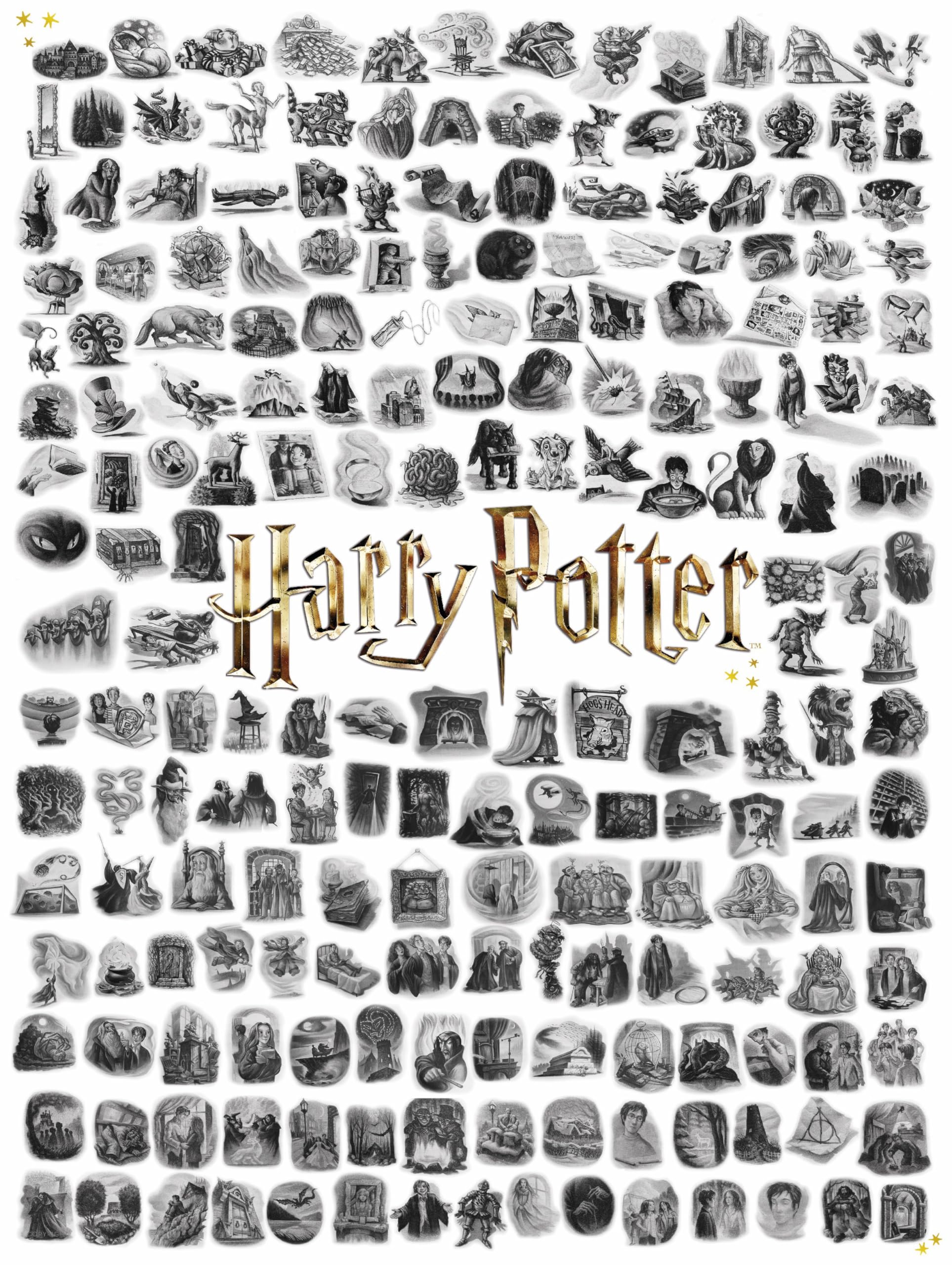 New York Puzzle Company - Harry Potter Capitolo Art - Puzzle da 1000 pezzi