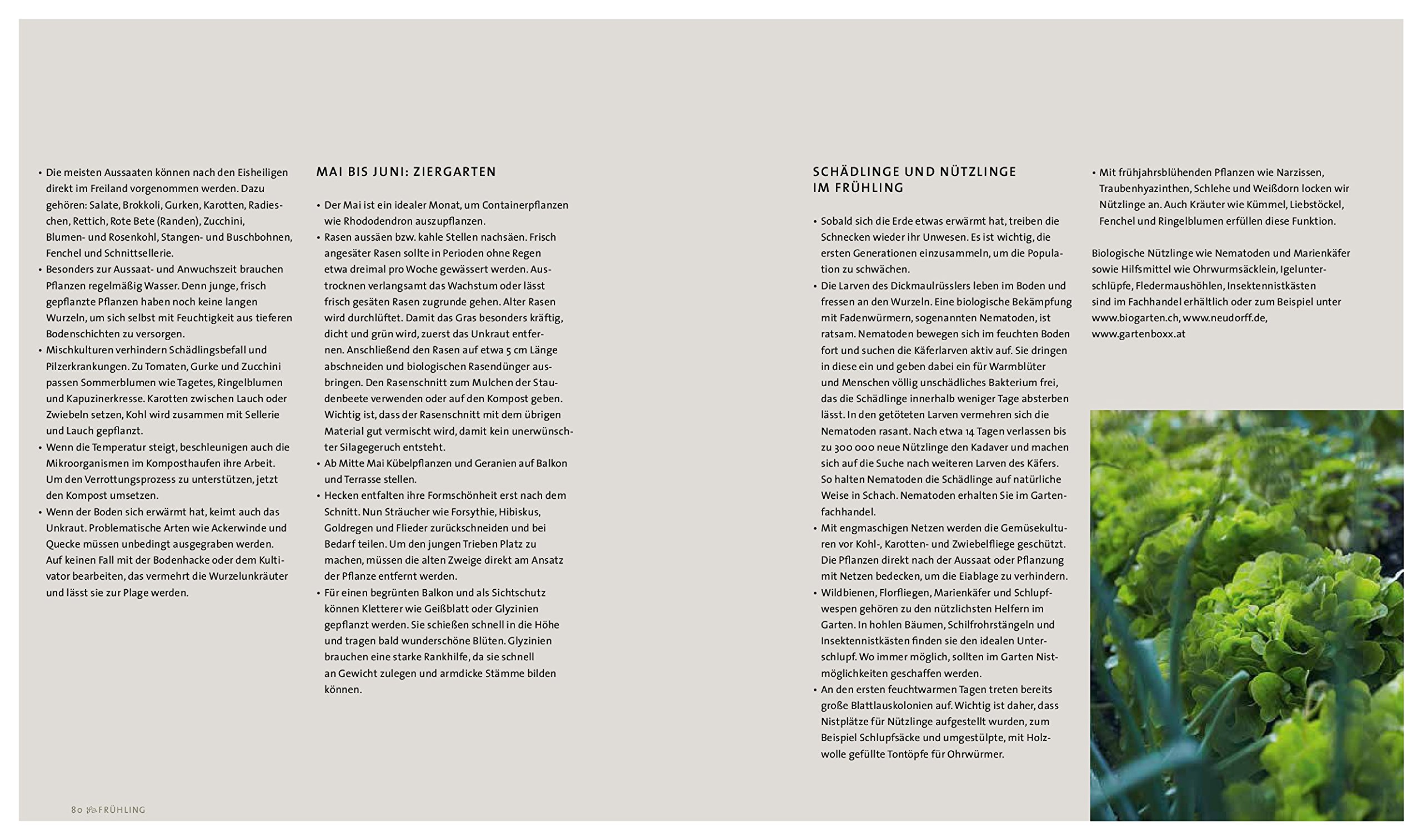 The Lazy Gardener und seine Gartengeheimnisse: Mit weniger Aufwand zur besseren Ernte im Biogarten. Der Ratgeber für mehr Gemüse, Blumen und Kräuter