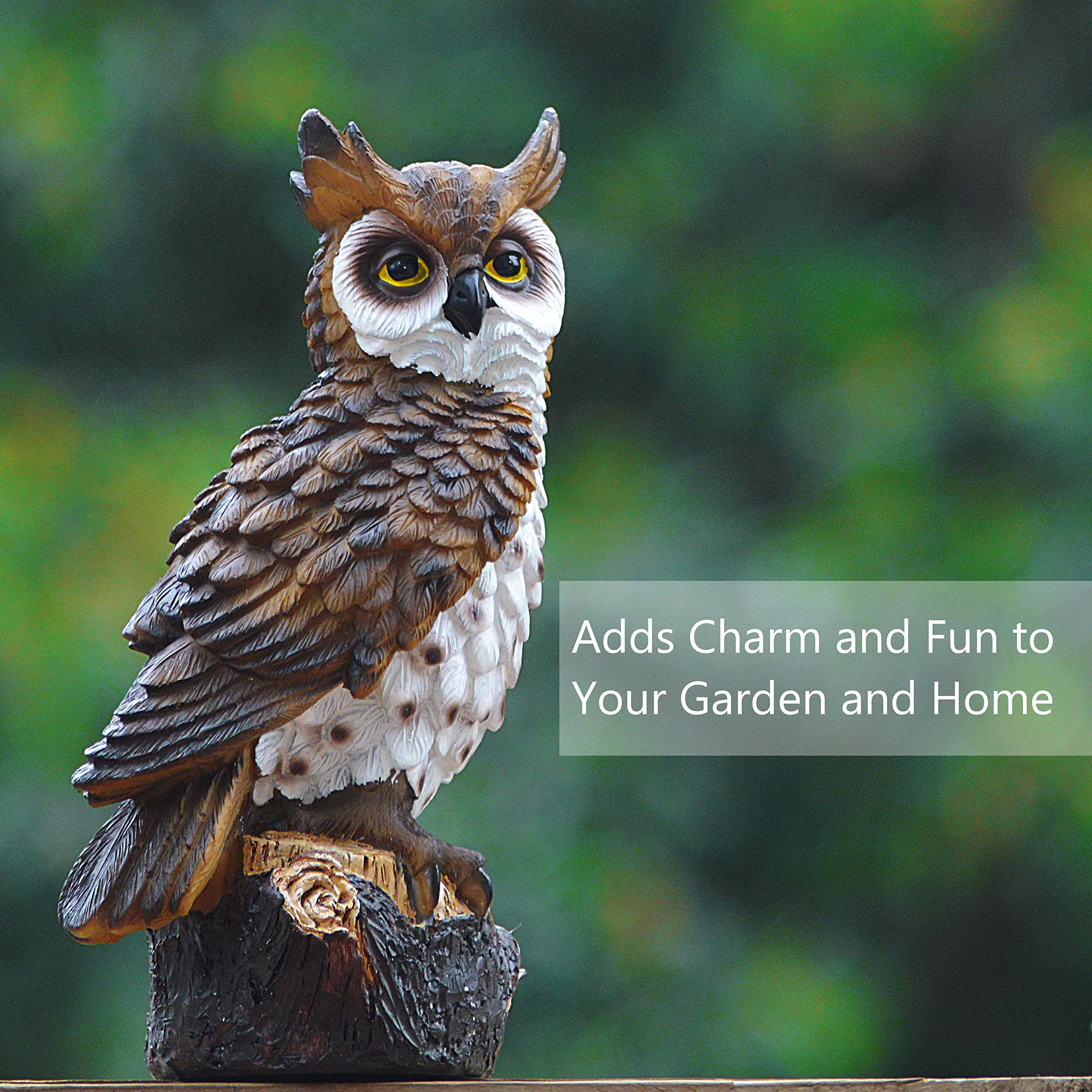 置物  bird owl Amazon.com: Jeelyfu Fake Owl Scarecrow Decoy, Resin Owl Bird
