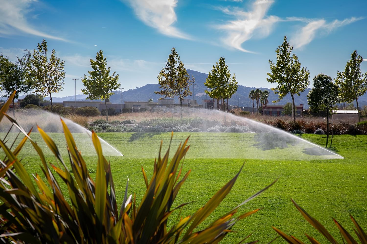 Hunter I-25 Rotor Sprinkler Head, 4" Pop-Up with Stainless Steel Riser, Adjustable Arc 50°–360°, Spray Distance 37'–71', Gear Drive Sprinkler w/Check Valve (I2504SS)