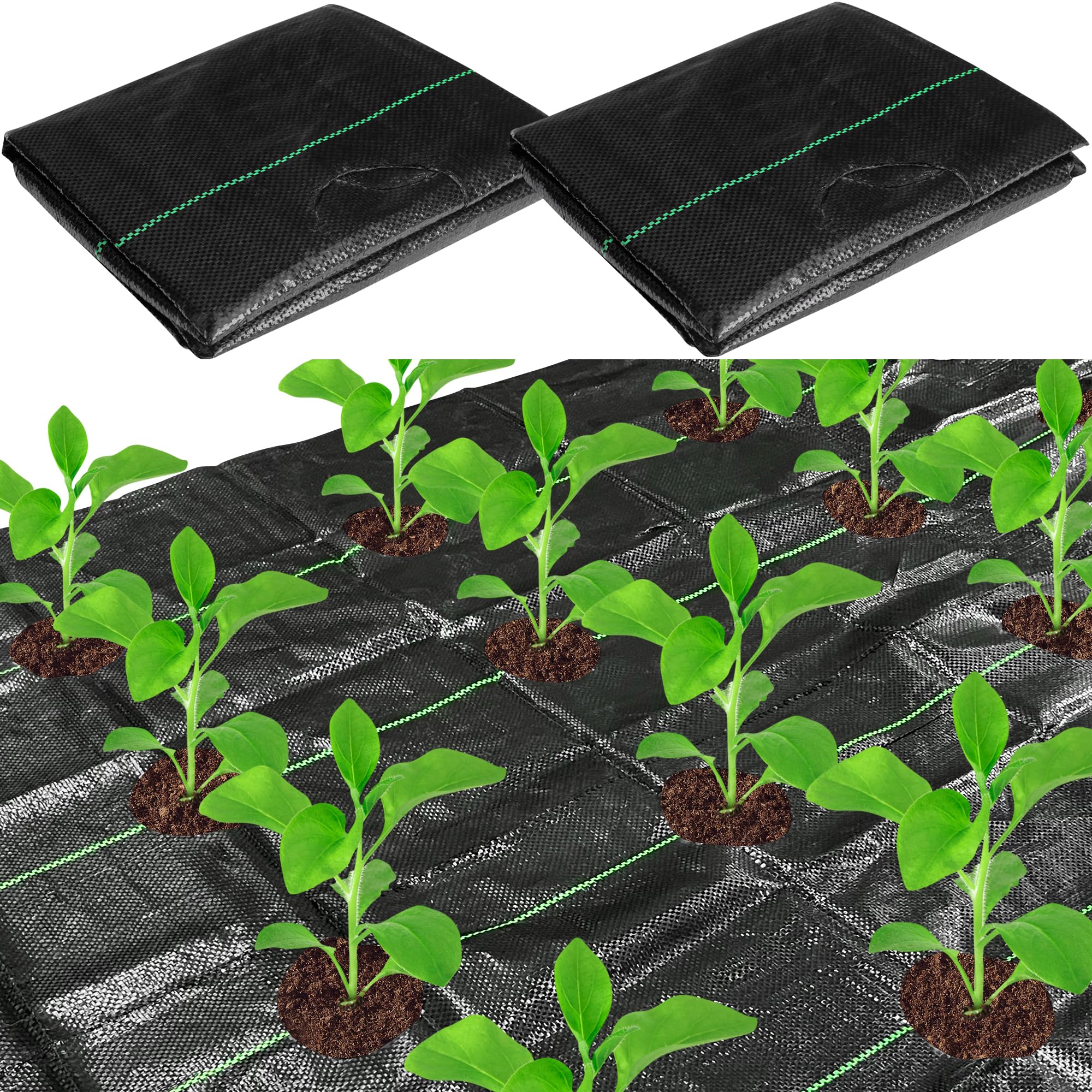 CODREE 2 Pcs Heavy-Duty Garden Weed Barrier - 13 x 4 Ft Landscape Fabric with Planting Holes - Weed Control Gardening Mat with 12 Ground Nails